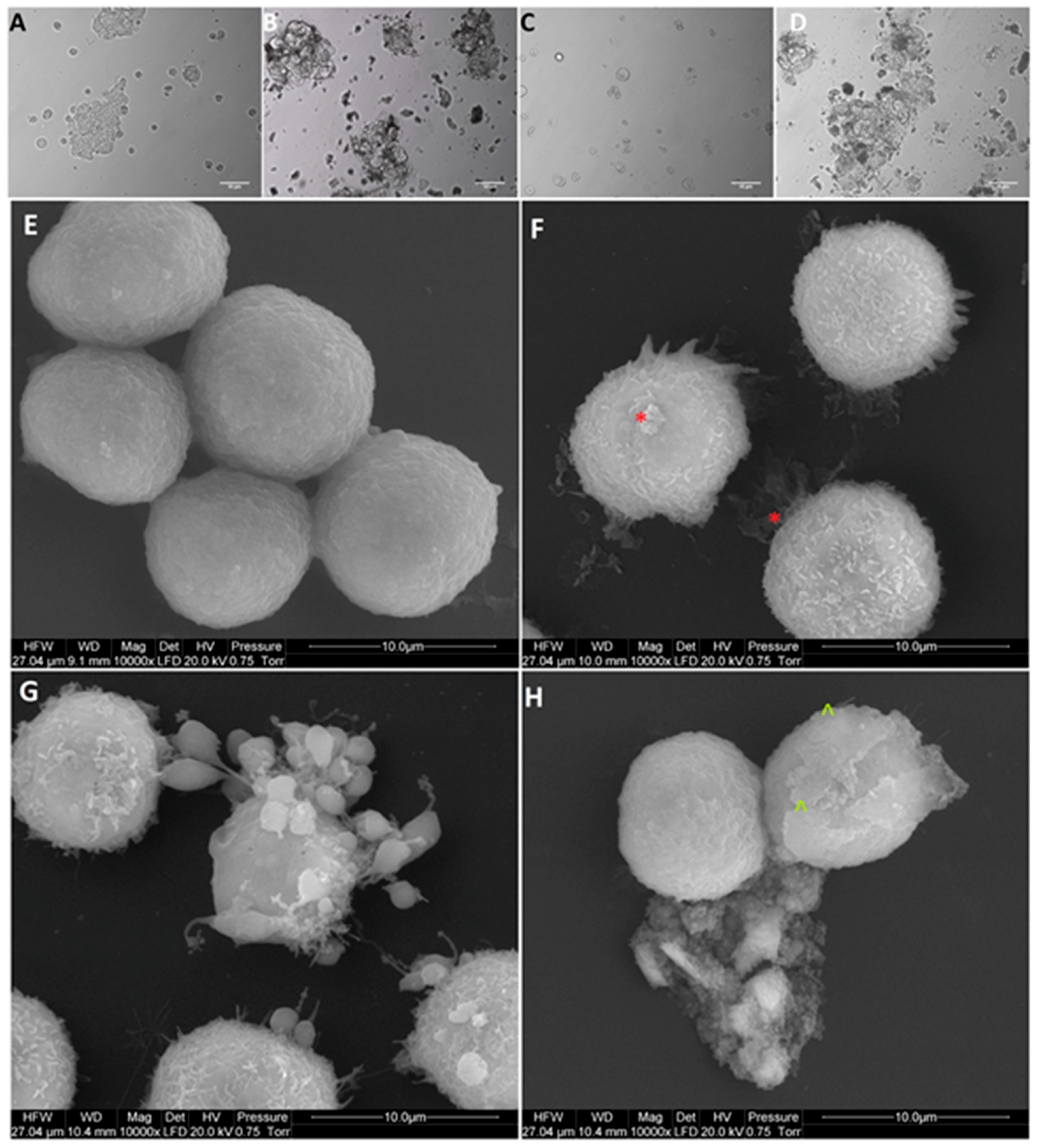 Materials 12 00909 g005