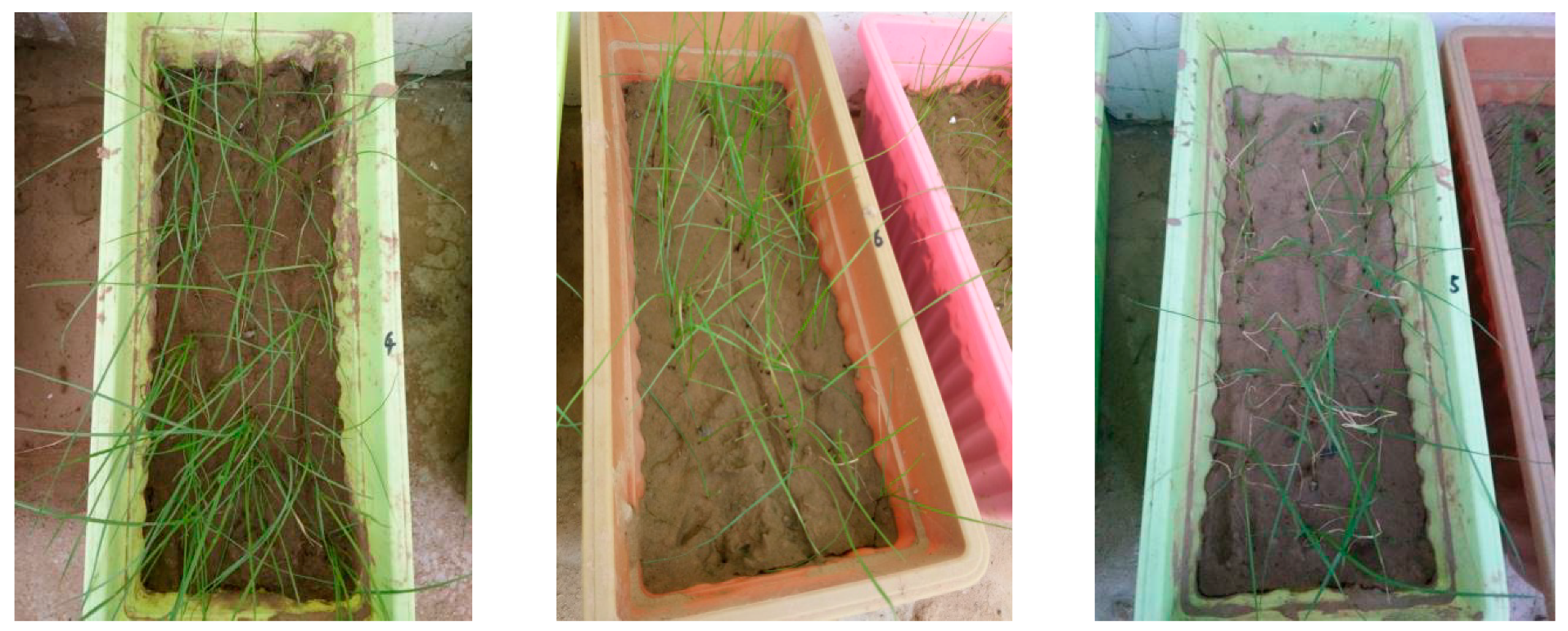 Materials 12 00912 g003 Materials 12 00912 g003