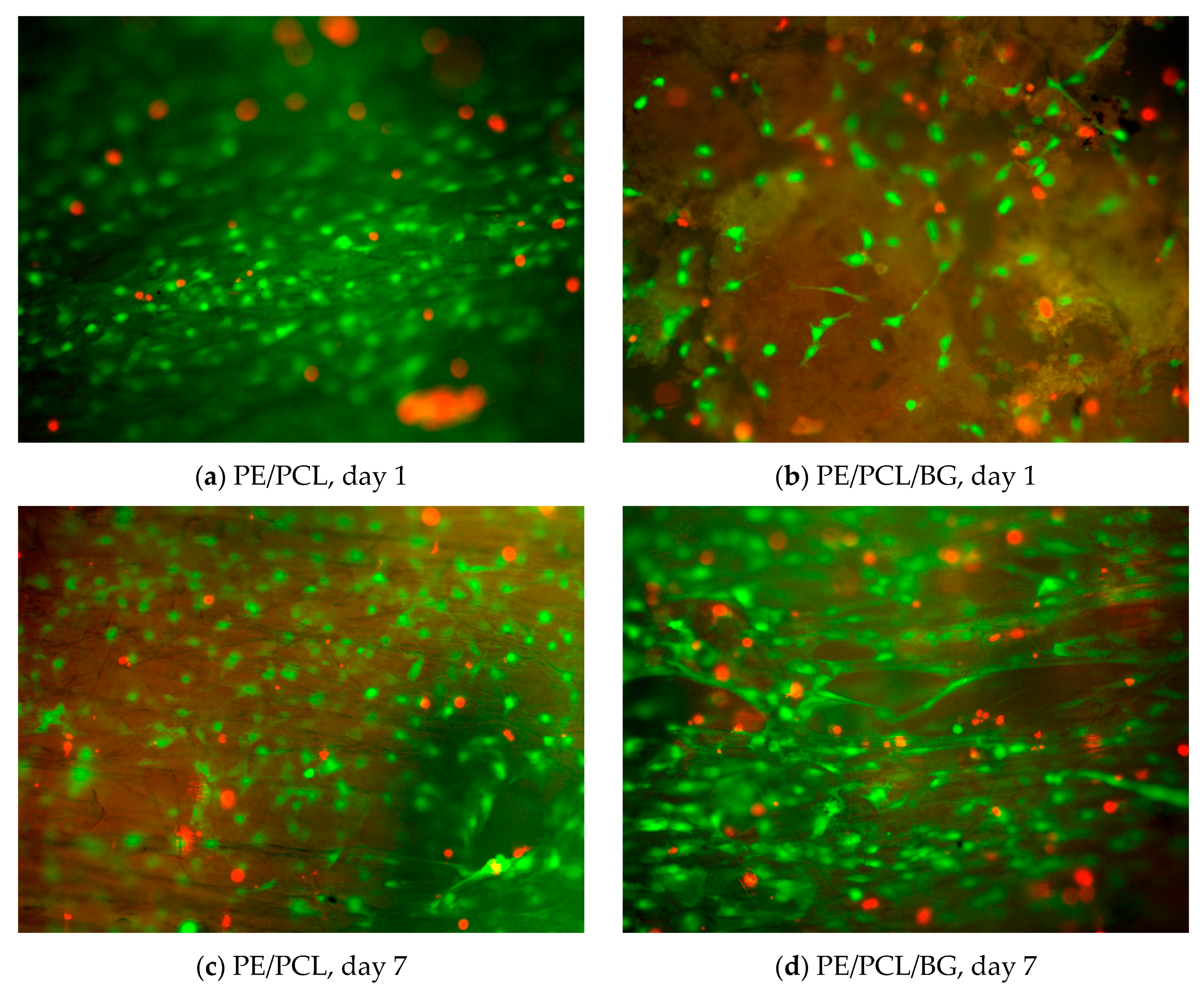 Materials 12 00916 g003 Materials 12 00916 g003