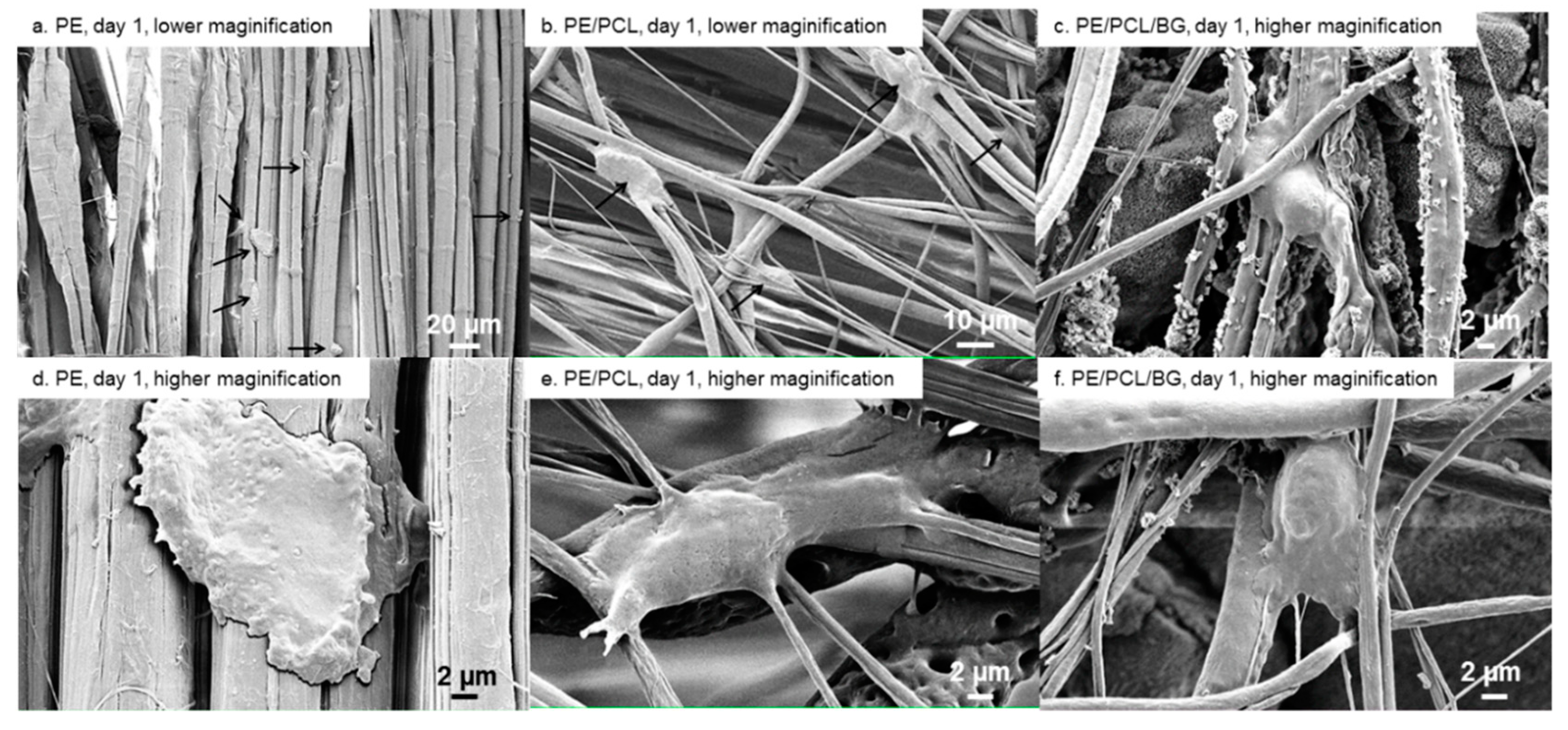 Materials 12 00916 g004 Materials 12 00916 g004