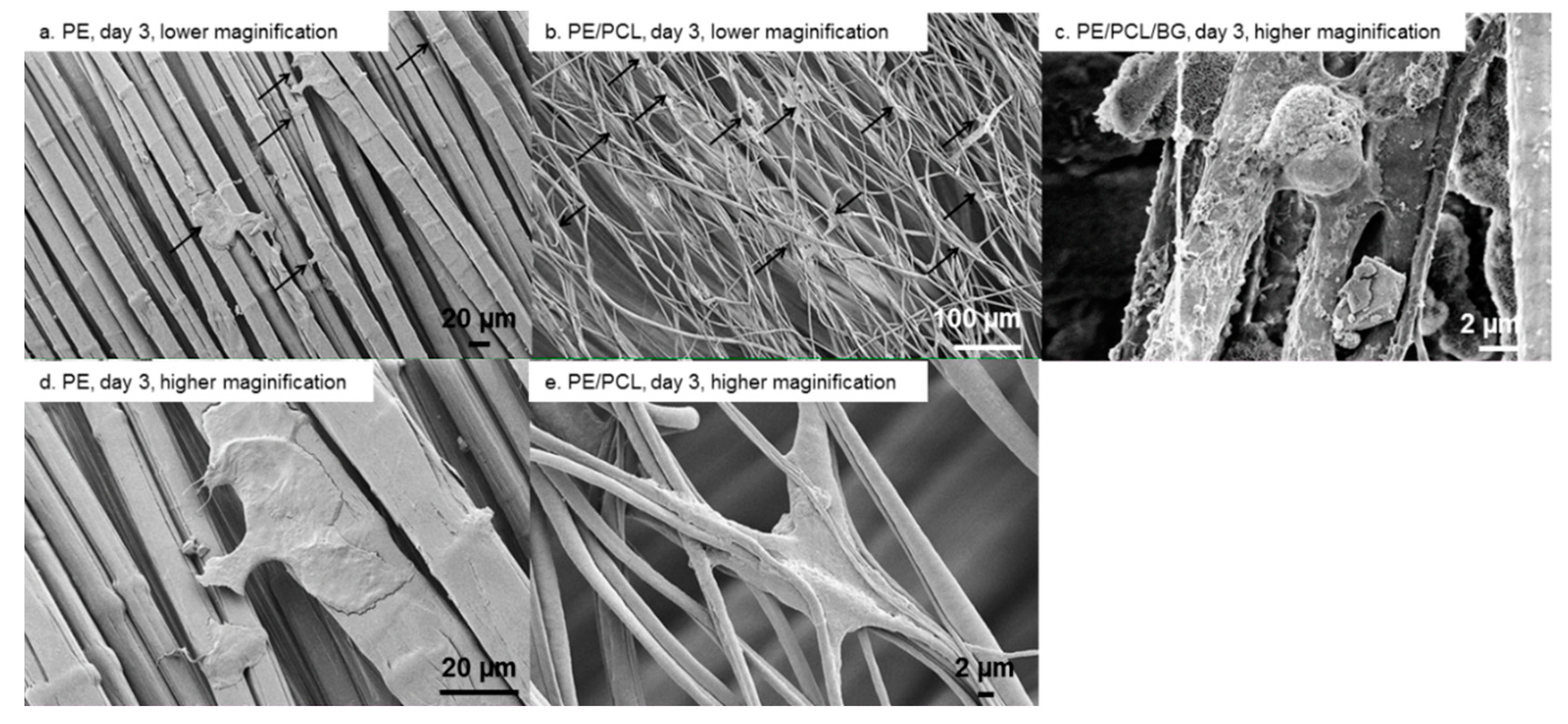Materials 12 00916 g005 Materials 12 00916 g005