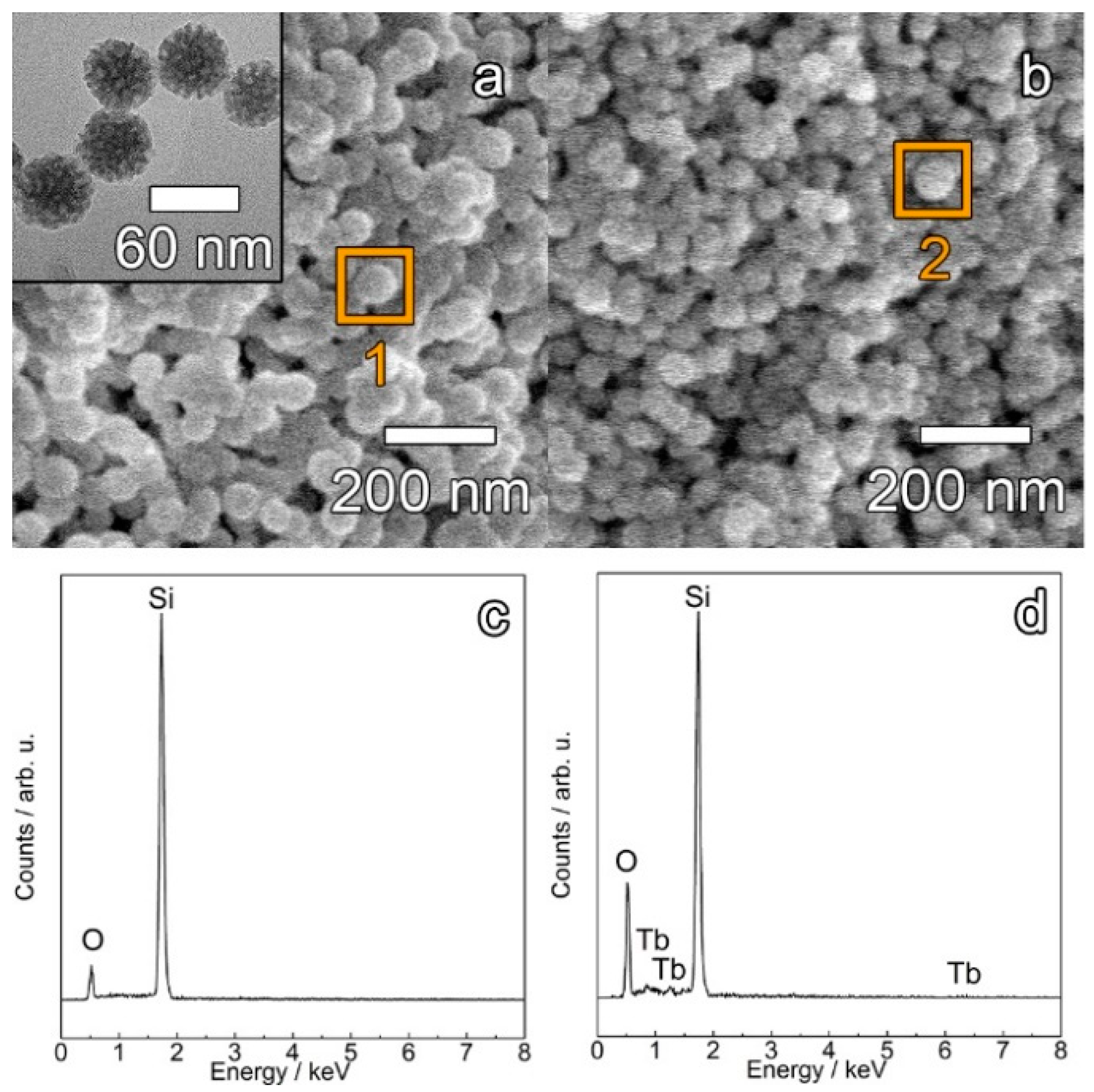Materials 12 00933 g001 Materials 12 00933 g001