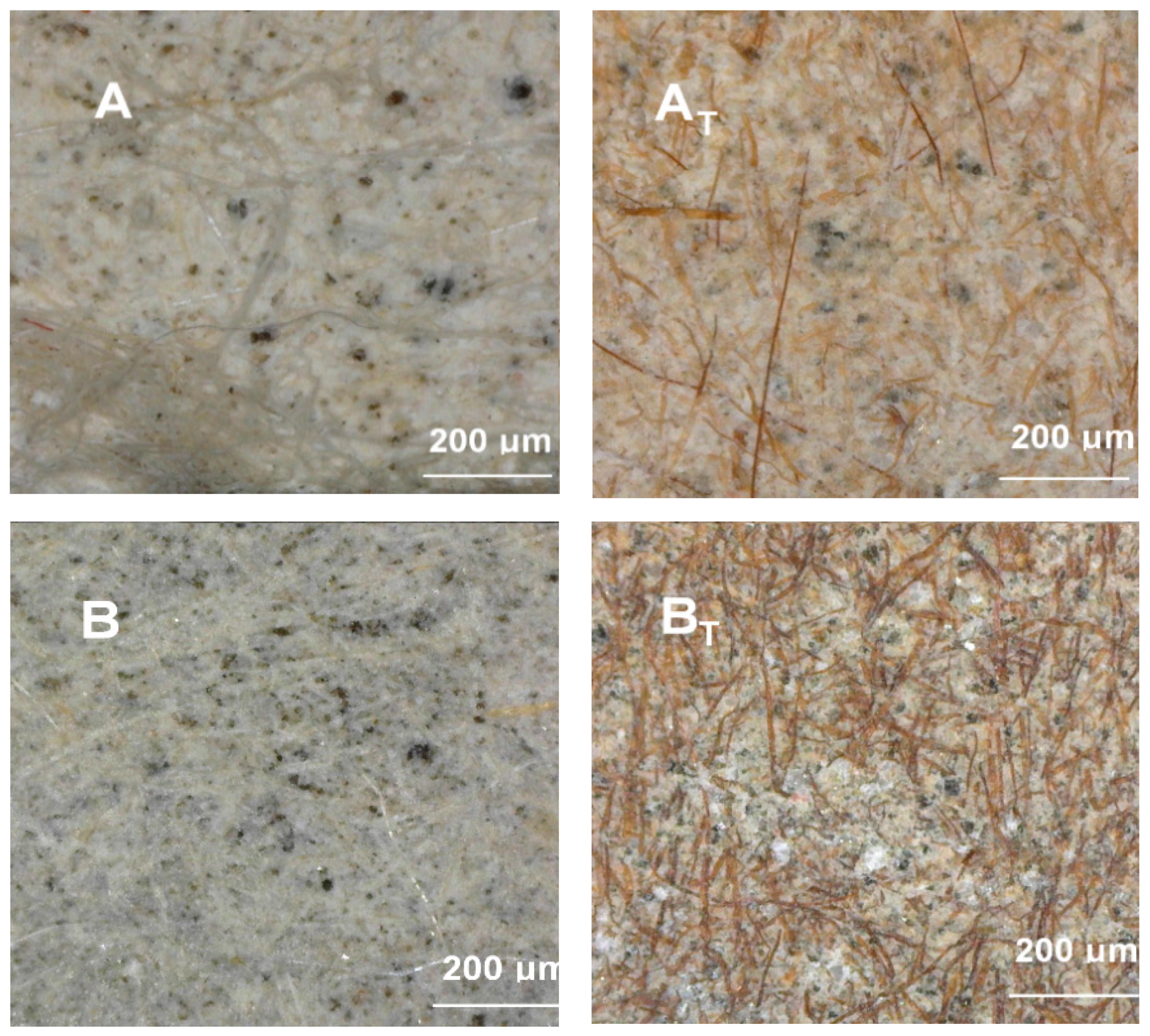 Materials 12 00944 g004a Materials 12 00944 g004a