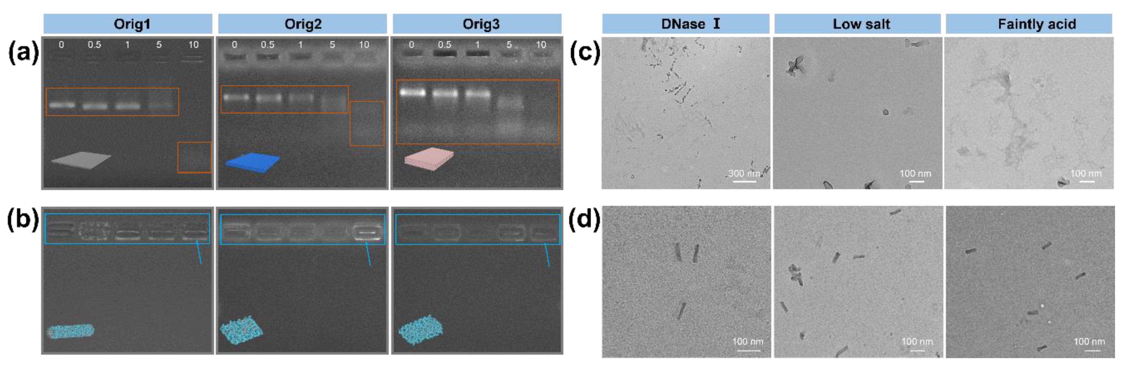 Materials 12 00949 g003