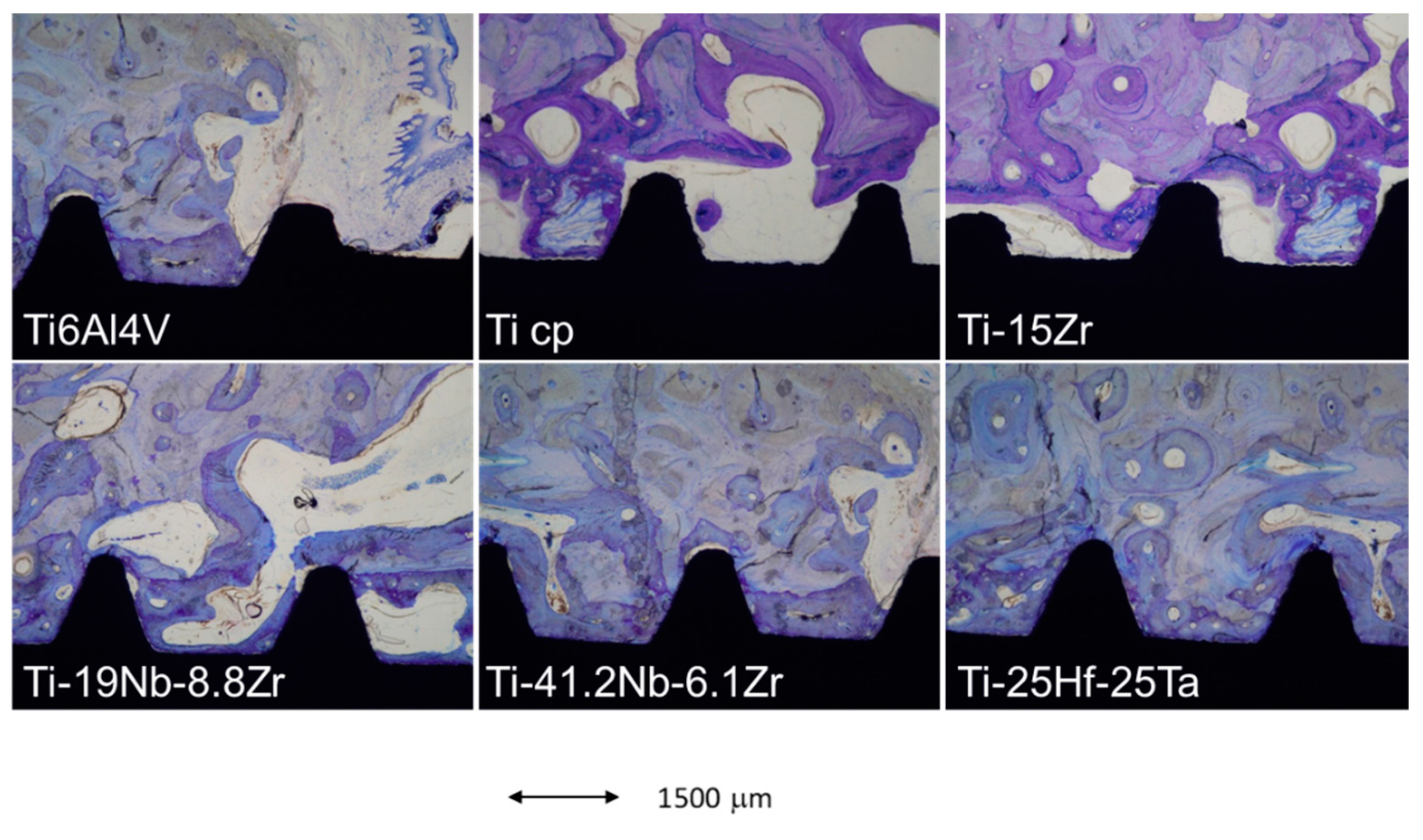 Materials 12 00980 g002 Materials 12 00980 g002