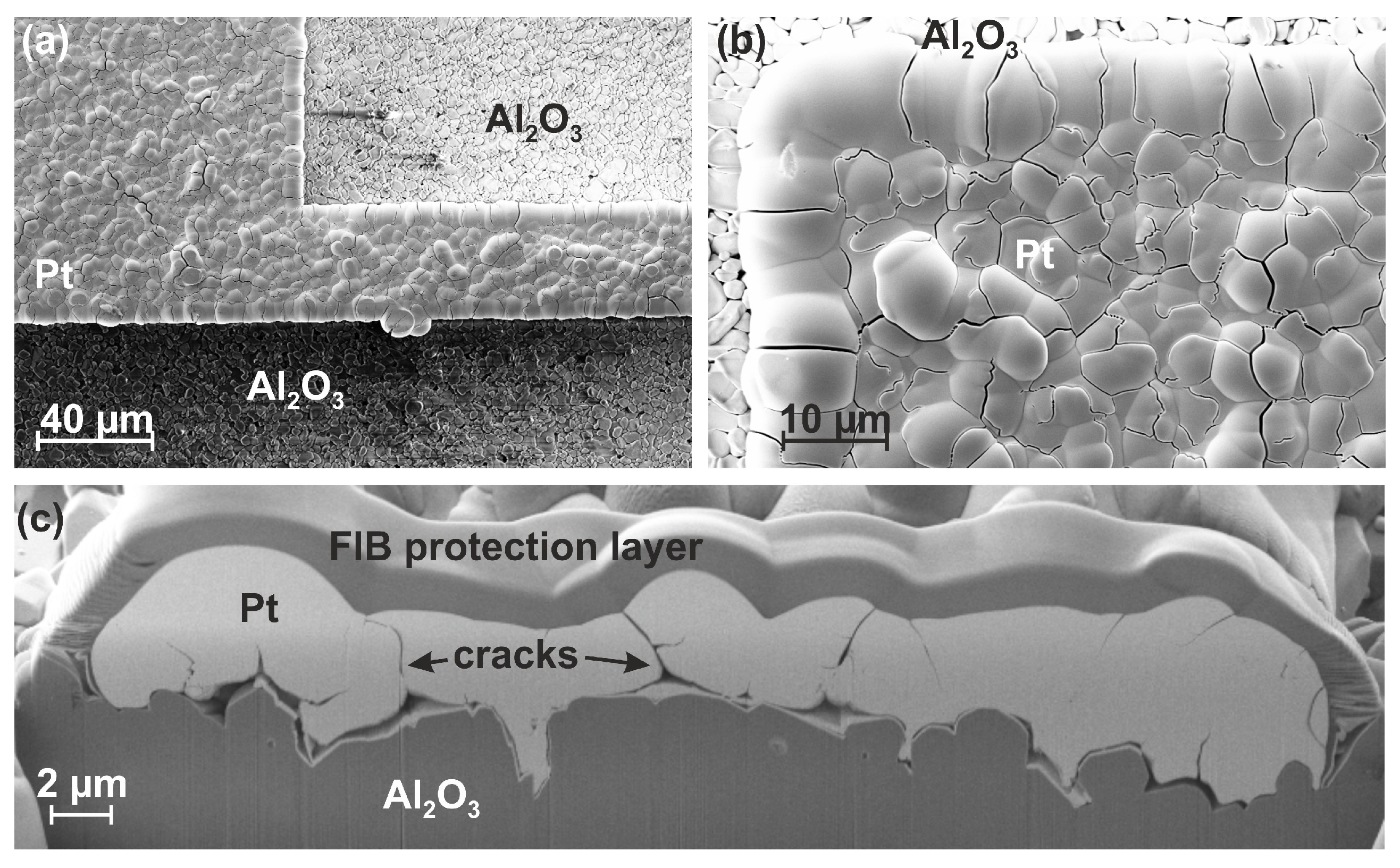 Materials 12 01002 g005 Materials 12 01002 g005