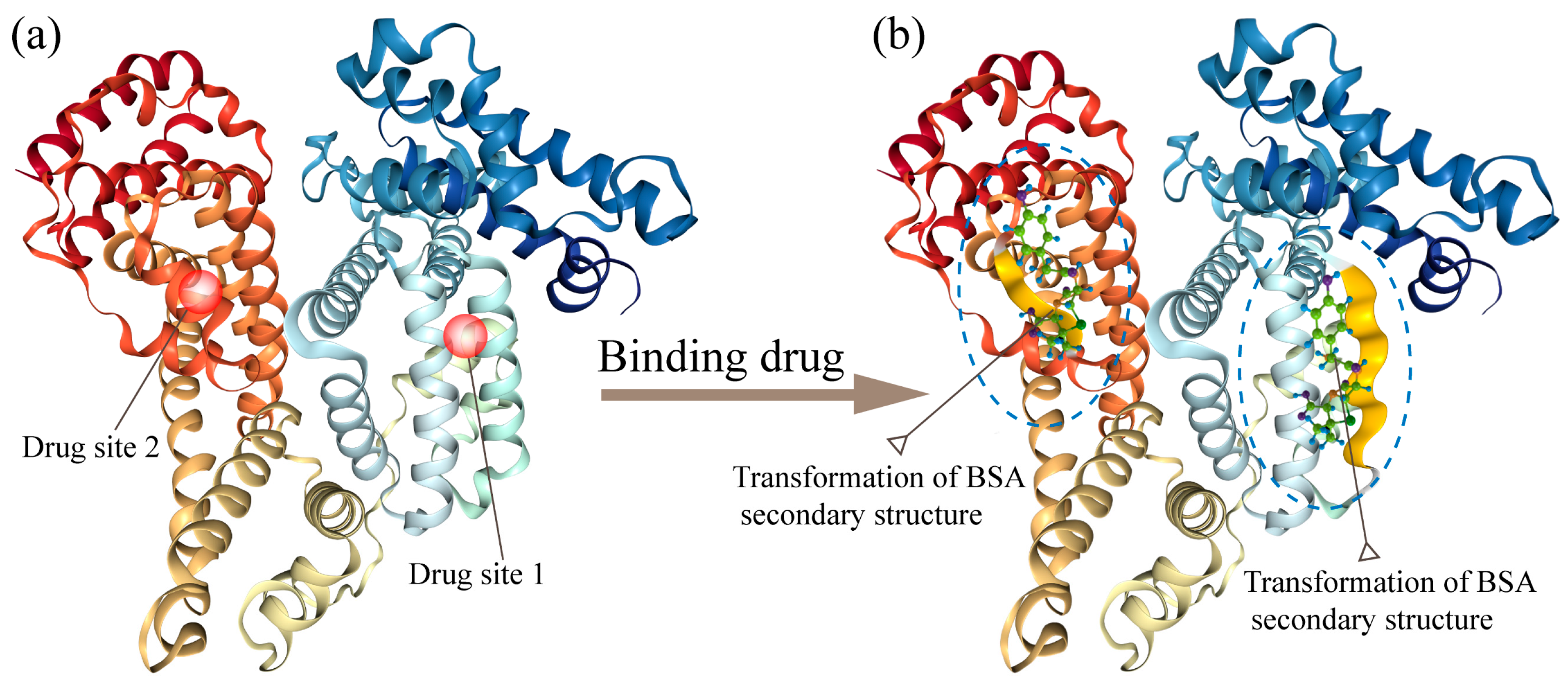 Materials | Free Full-Text | Conductance Changes in Bovine Serum