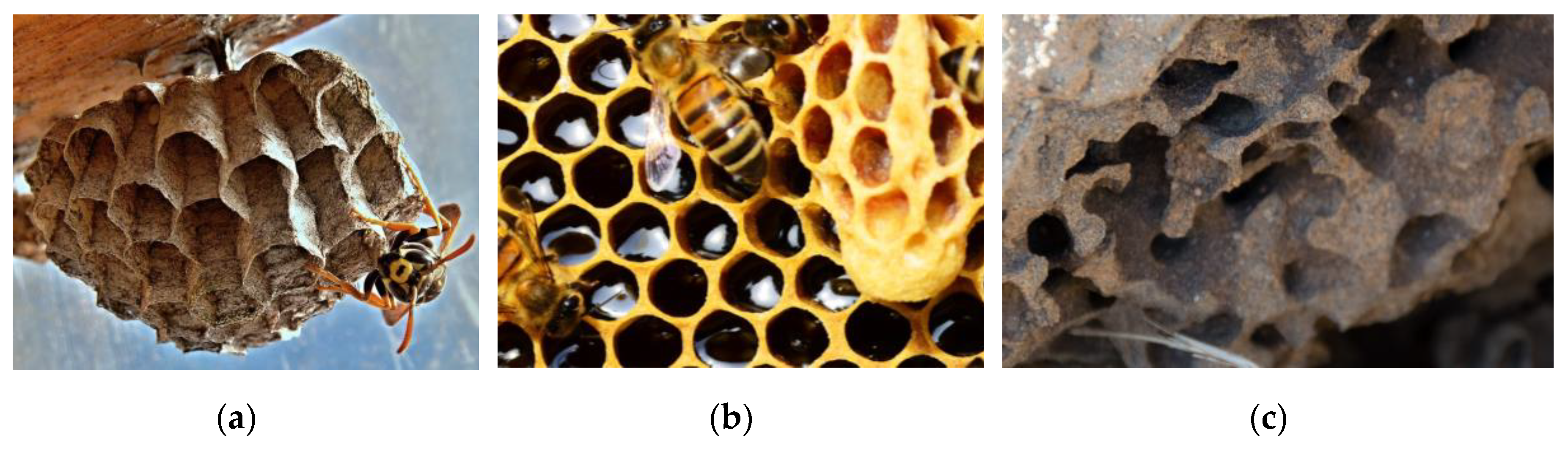 Materials 12 01060 g008