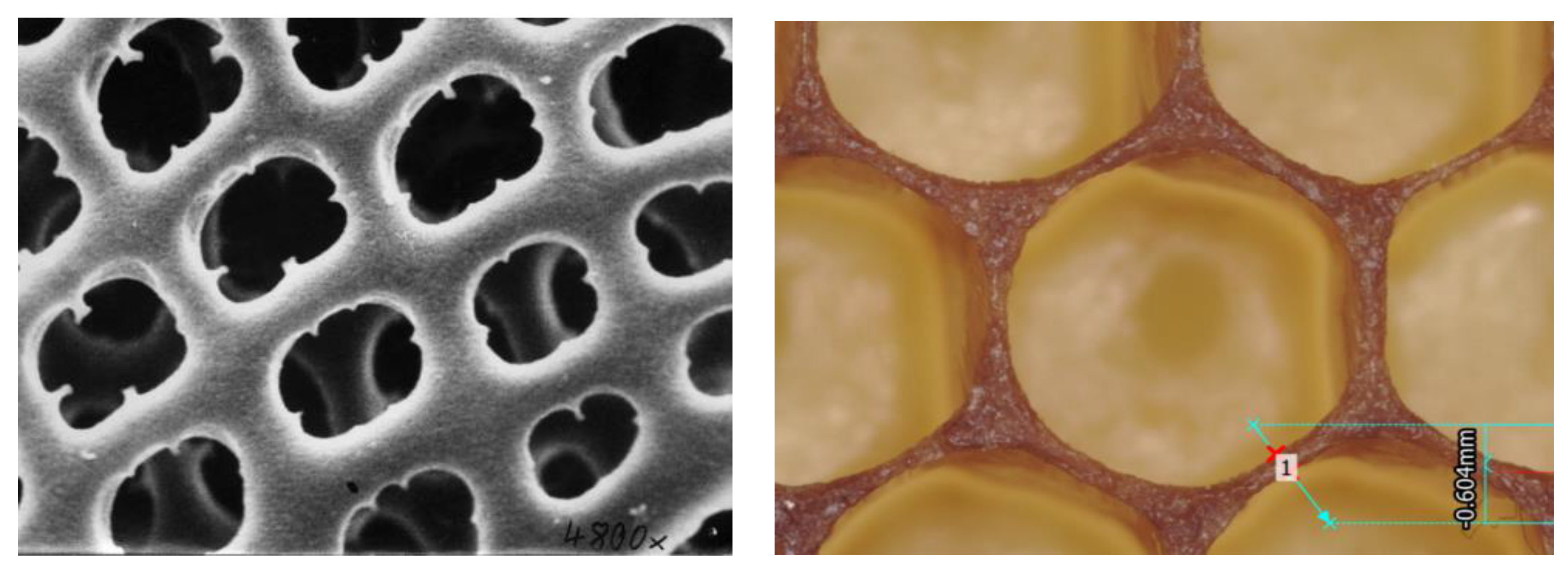 Materials 12 01060 g009