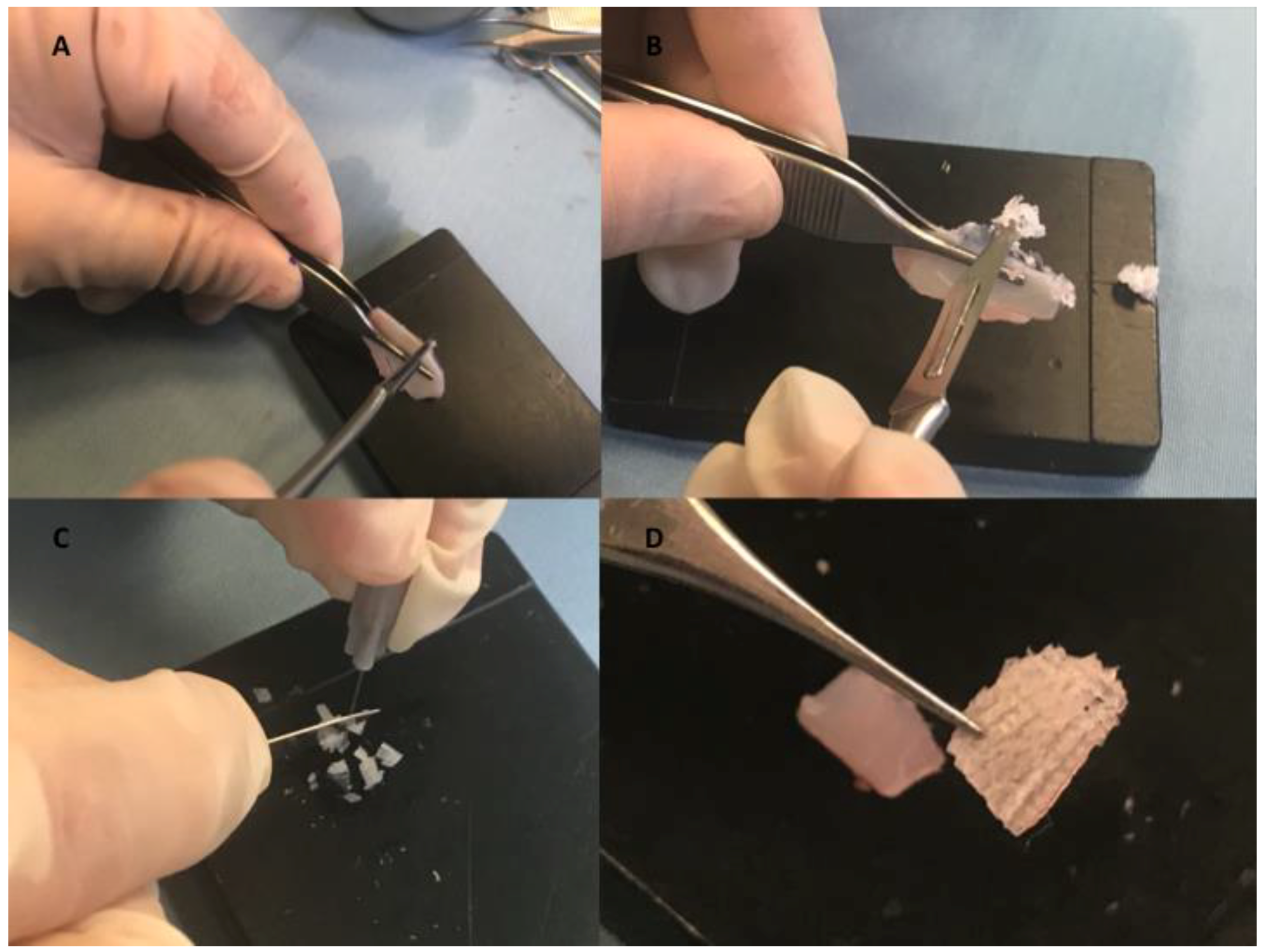 Materials 12 01062 g001