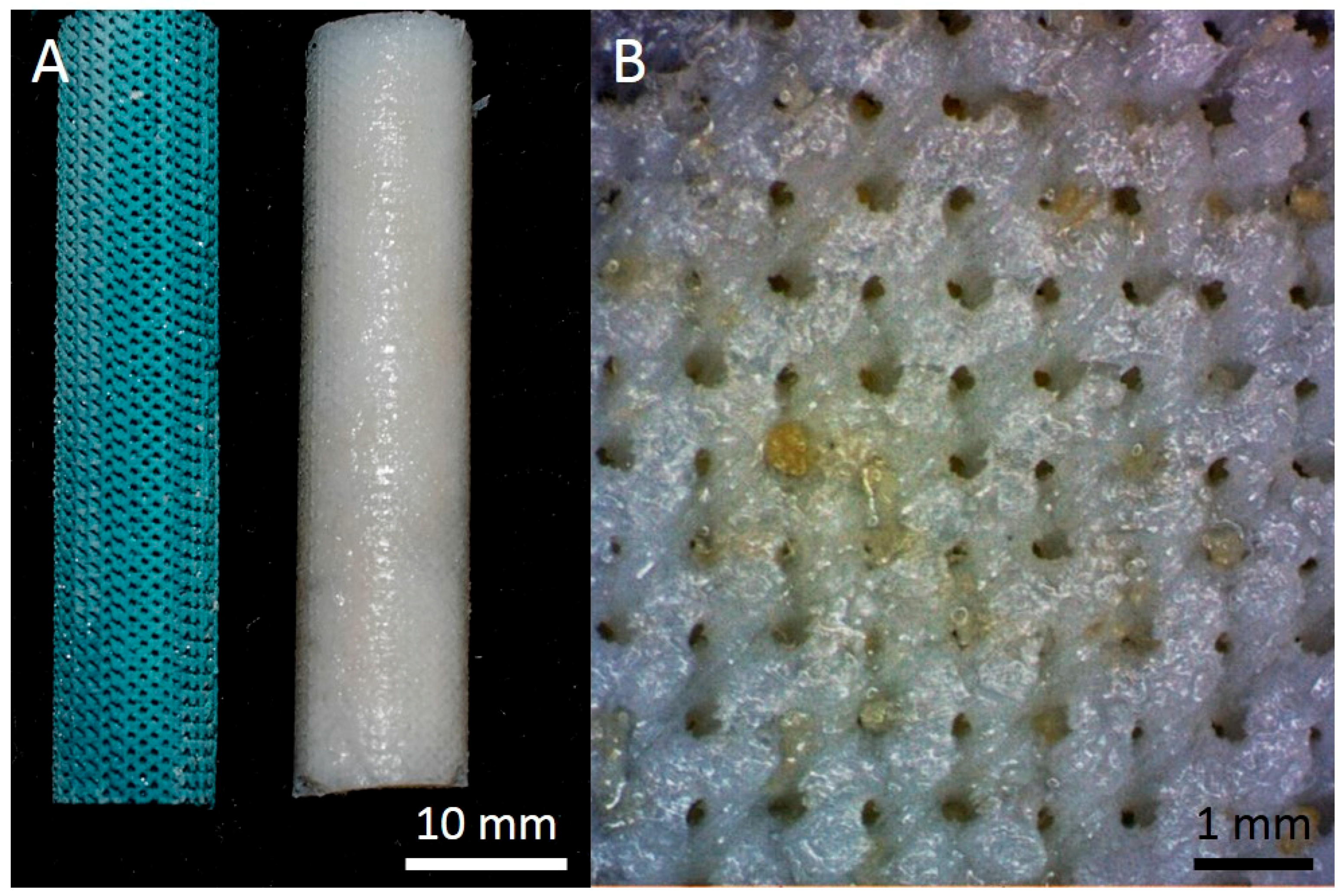Materials 12 01066 g001