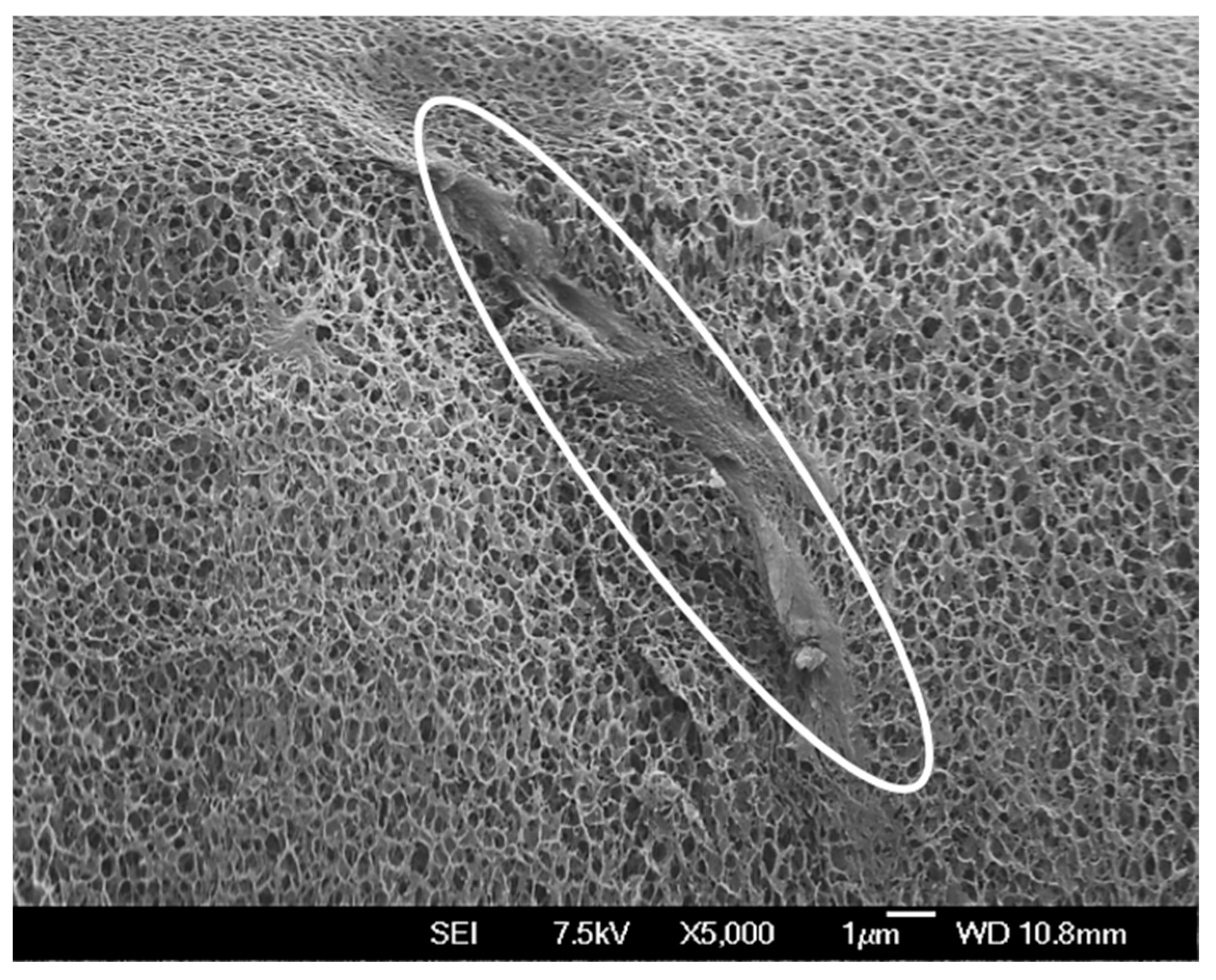 Materials 12 01066 g003