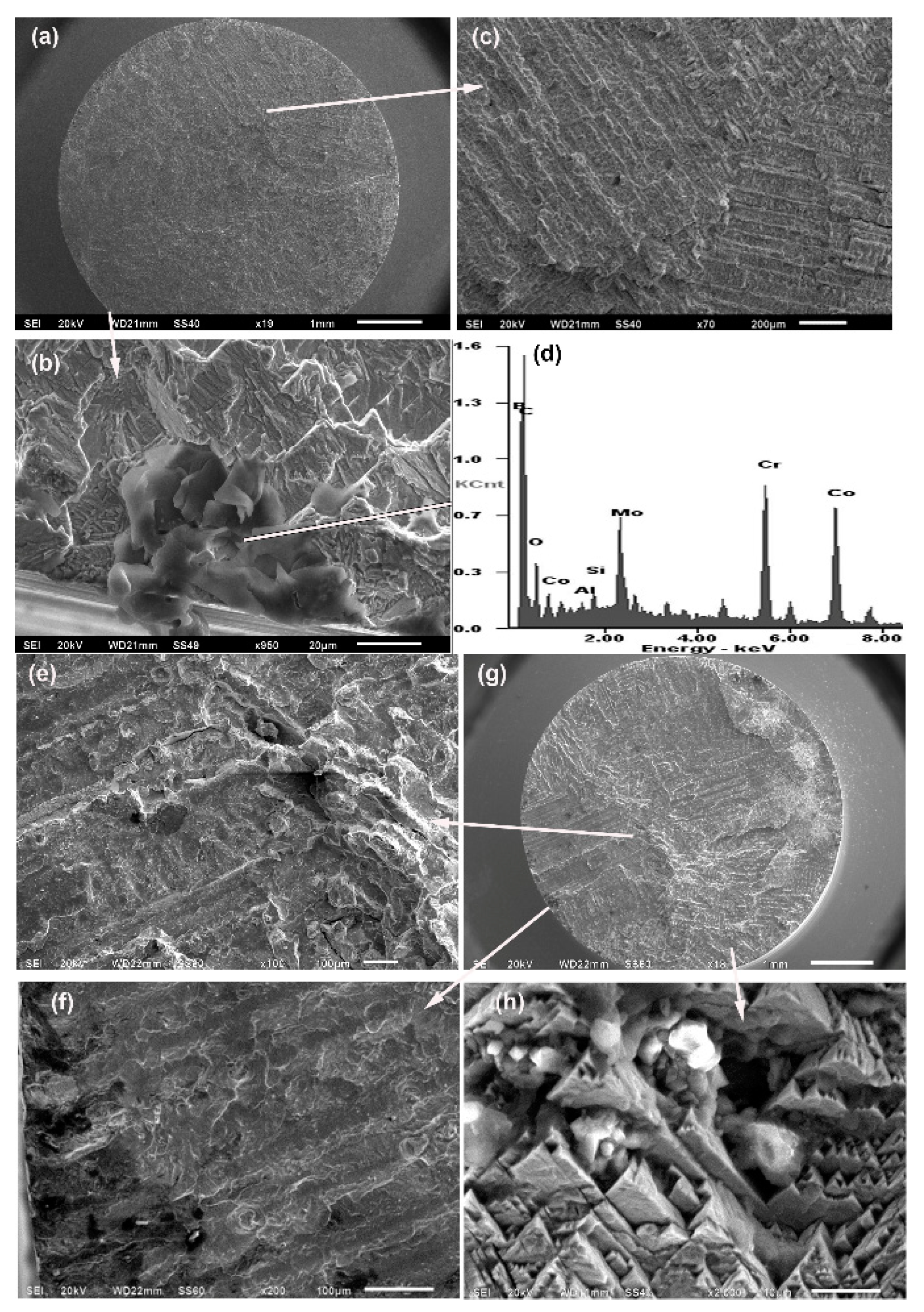 Materials 12 01076 g008