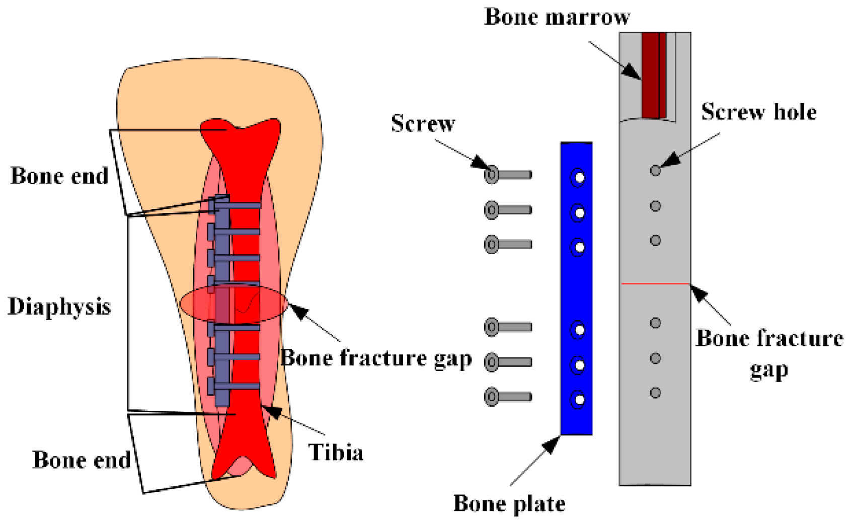 Materials 12 01135 g004 550