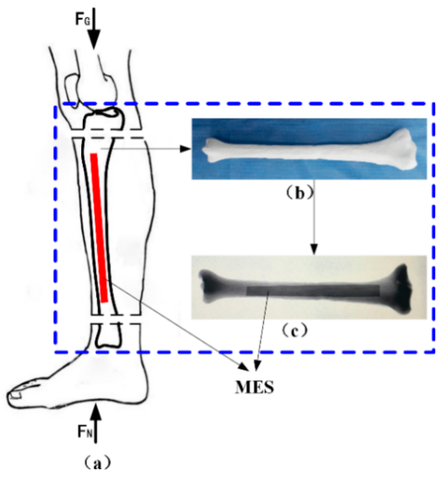 Materials 12 01135 g006 550