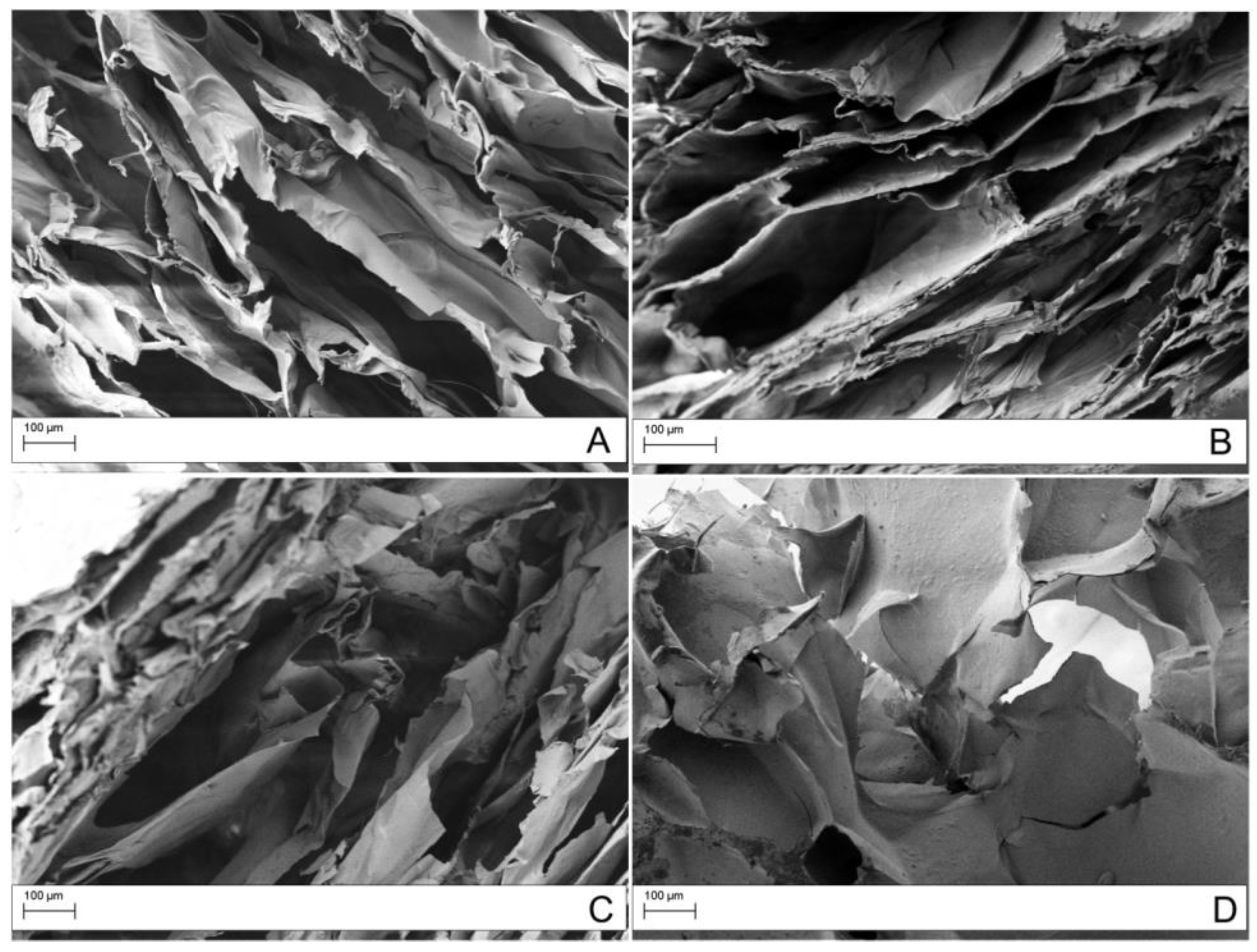 Materials 12 01142 g007 Materials 12 01142 g007