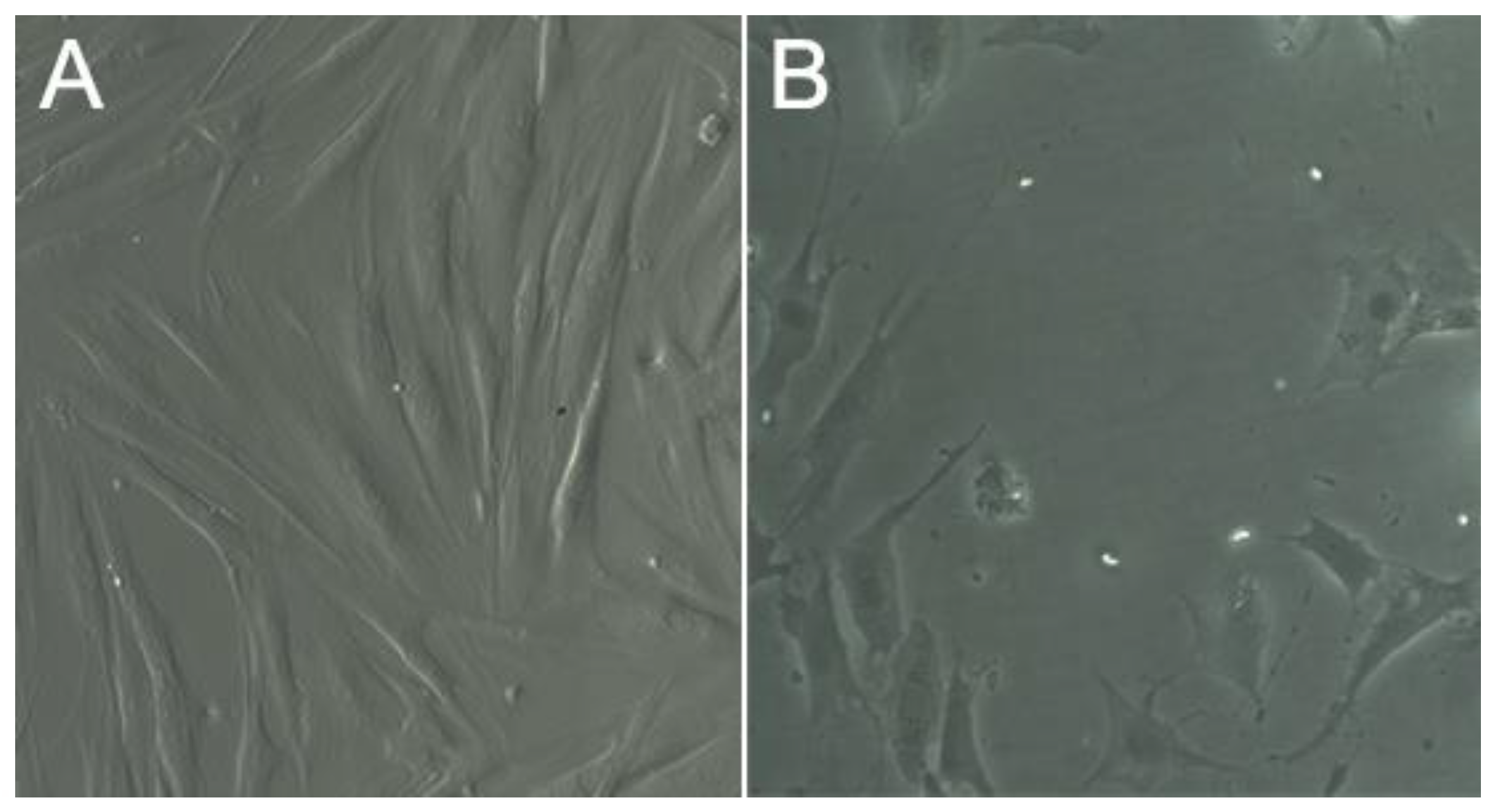 Materials 12 01142 g010 Materials 12 01142 g010
