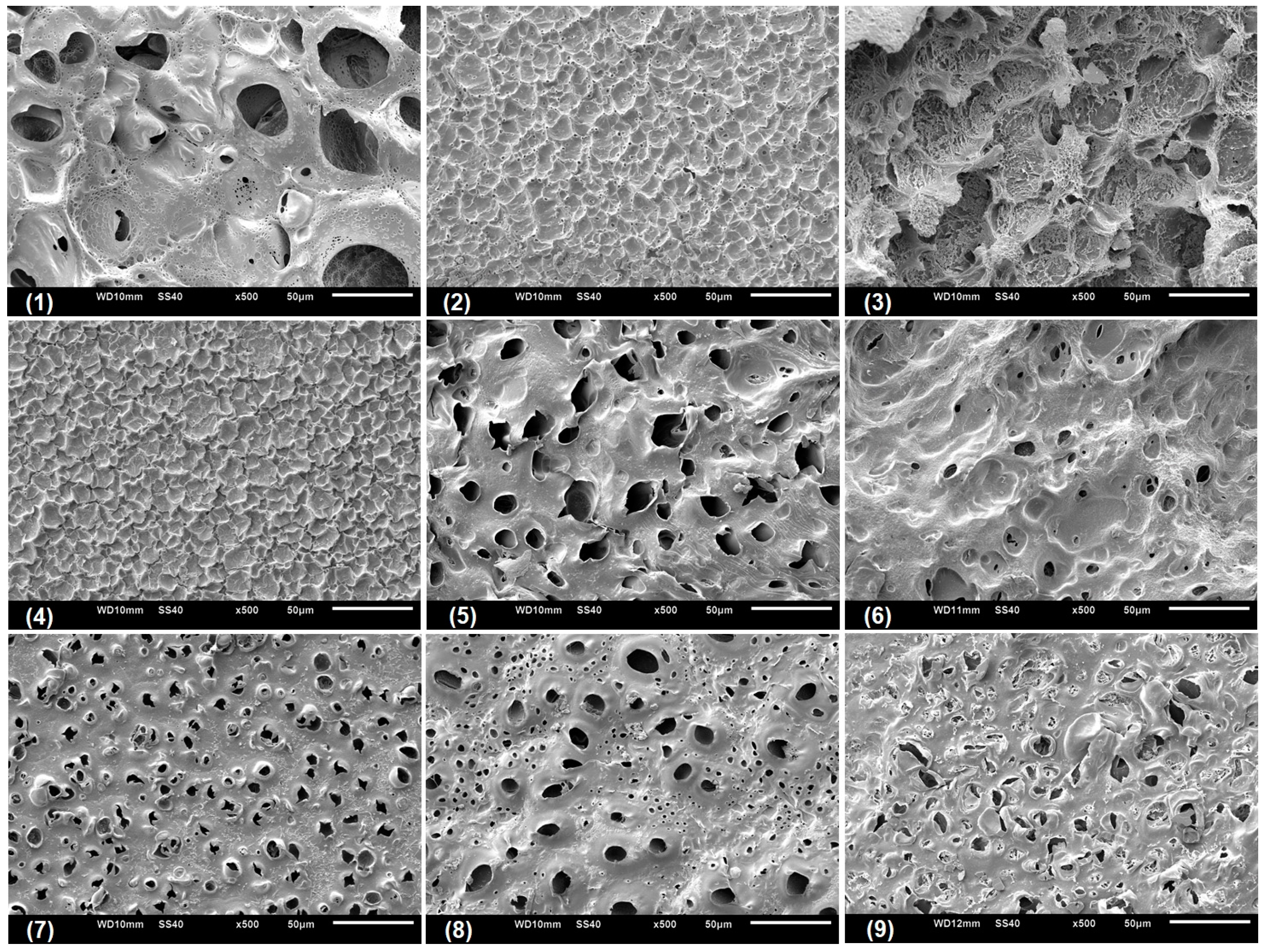 Materials 12 01149 g007