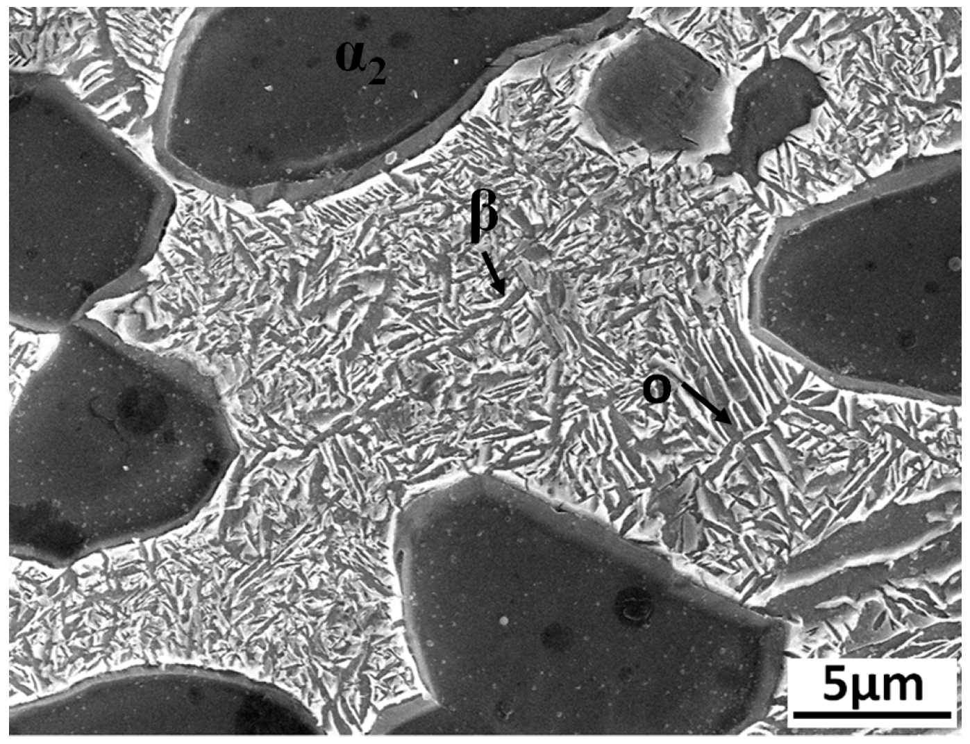 Materials 12 01159 g001