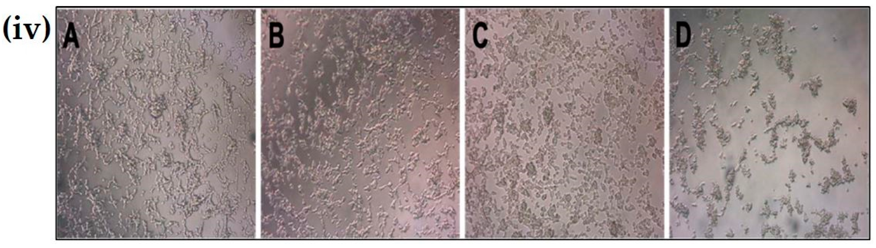 Materials 12 01176 g005b Materials 12 01176 g005b