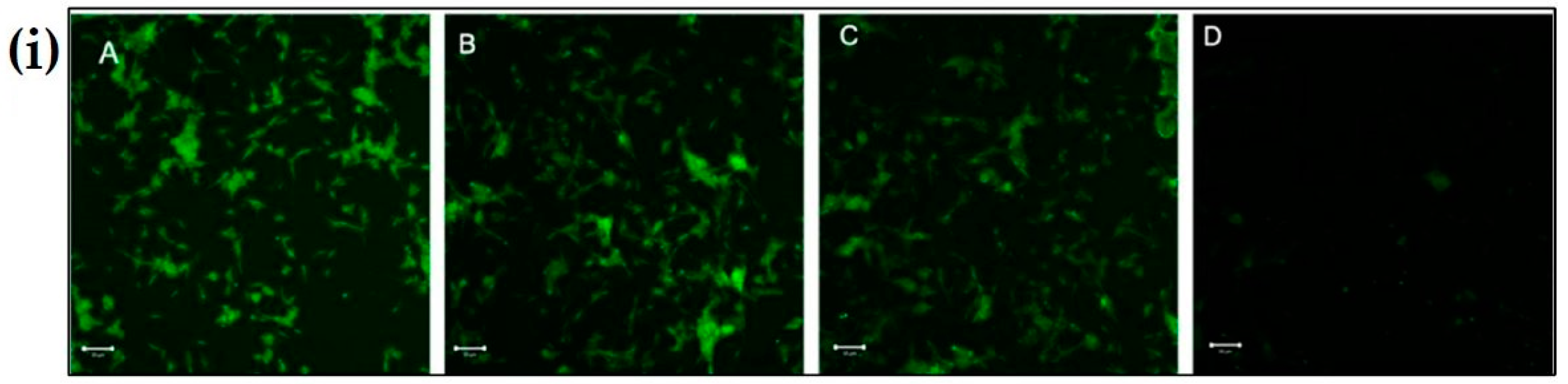 Materials 12 01176 g007a Materials 12 01176 g007a