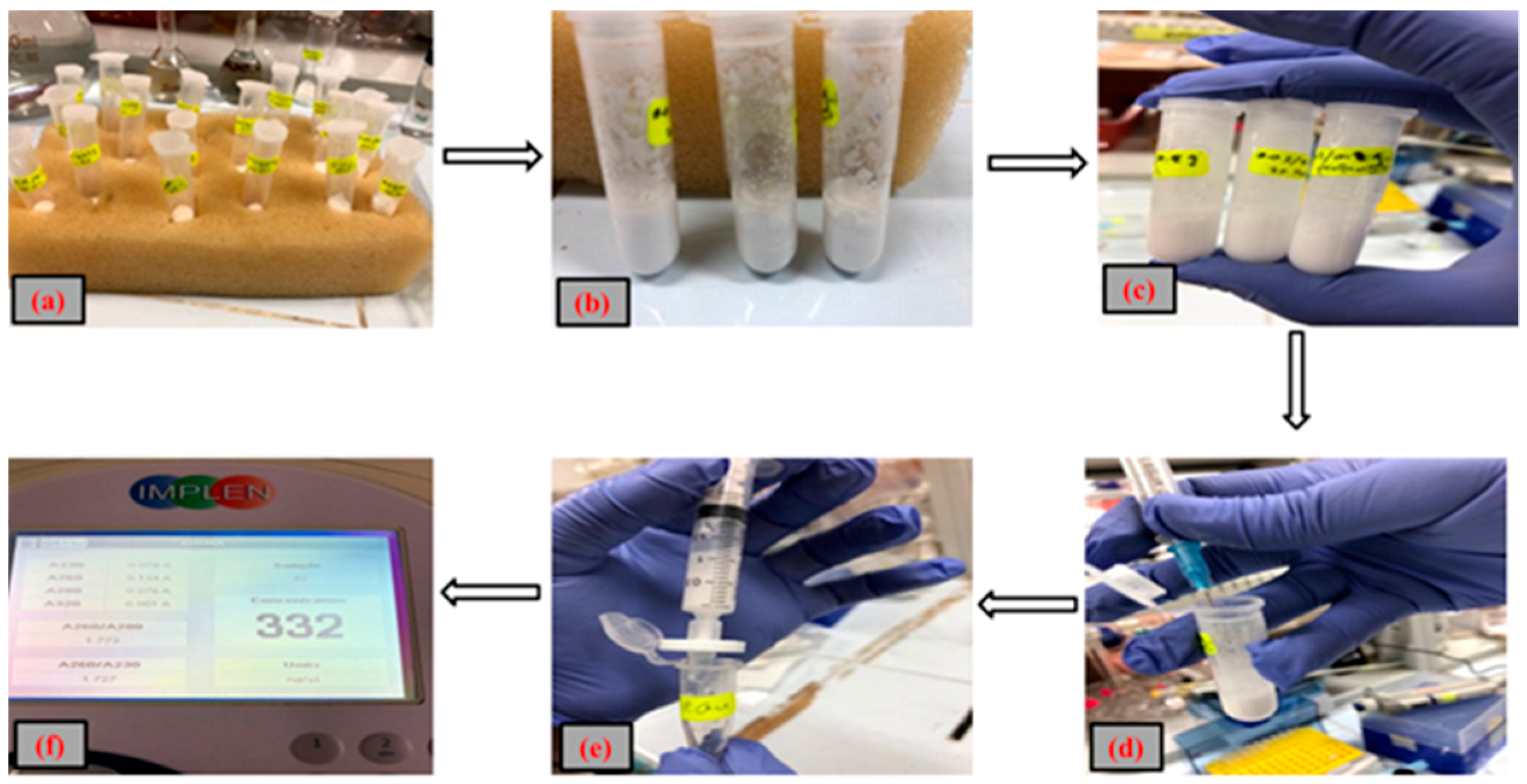 Materials 12 01178 g001