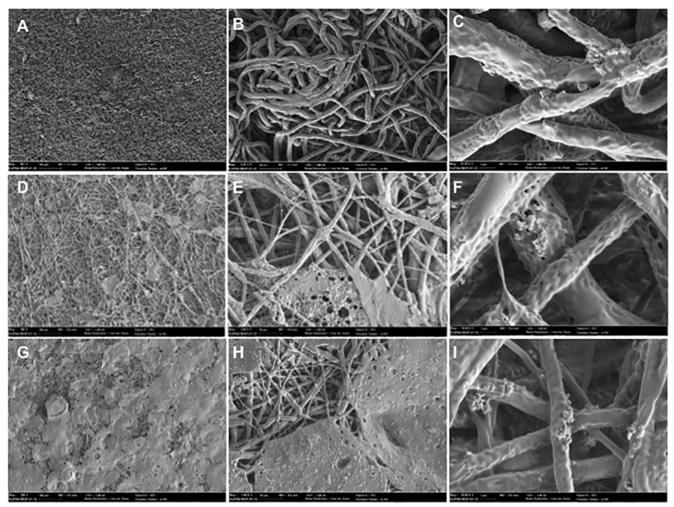 Materials 12 01186 g002