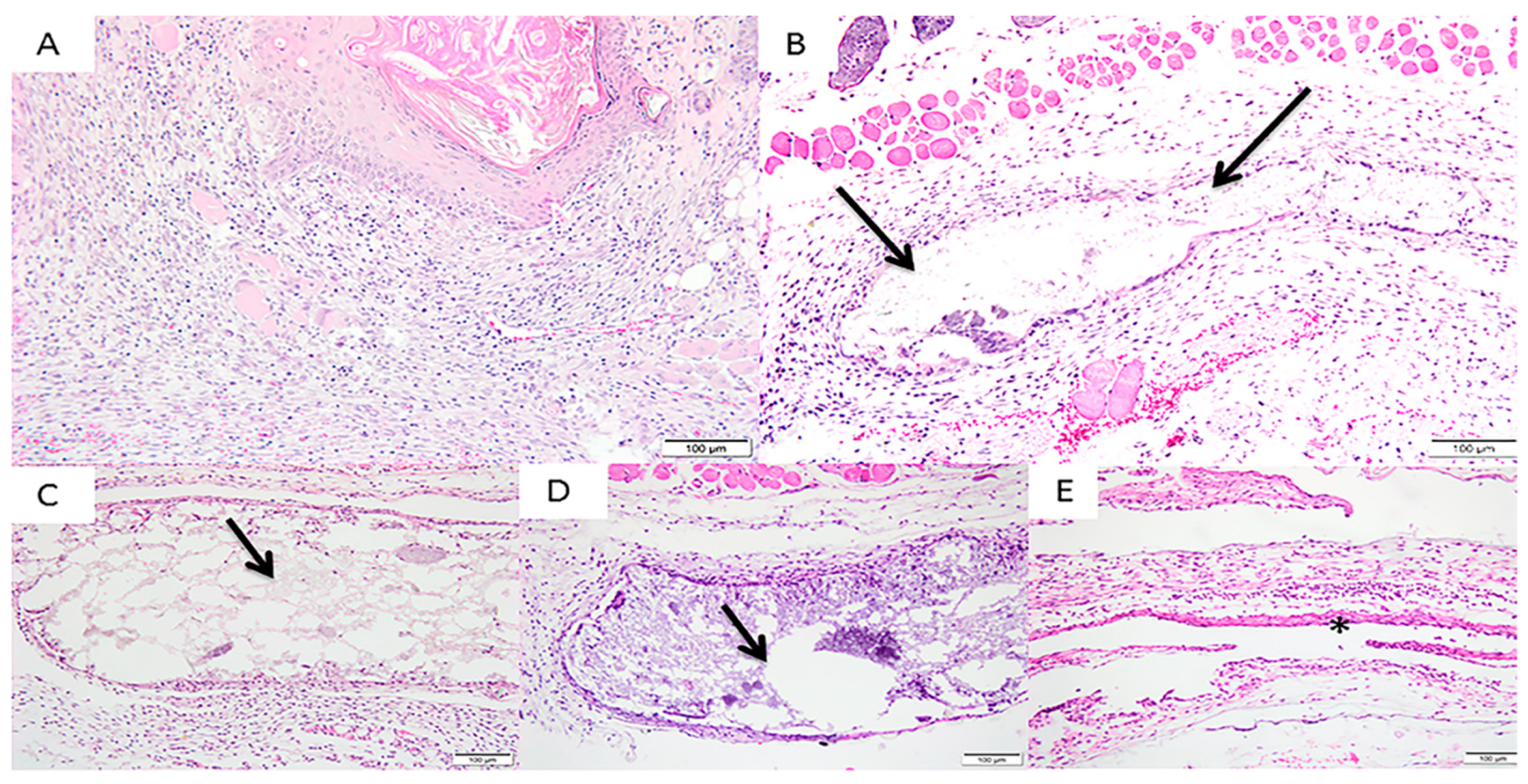 Materials 12 01186 g005