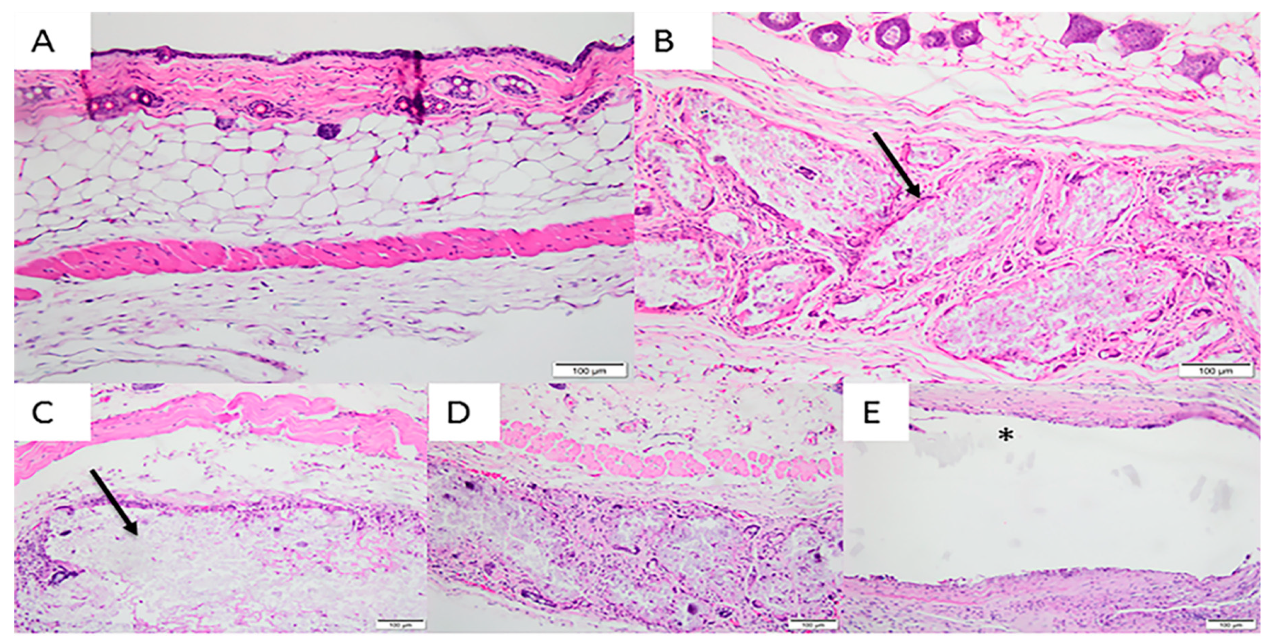 Materials 12 01186 g007