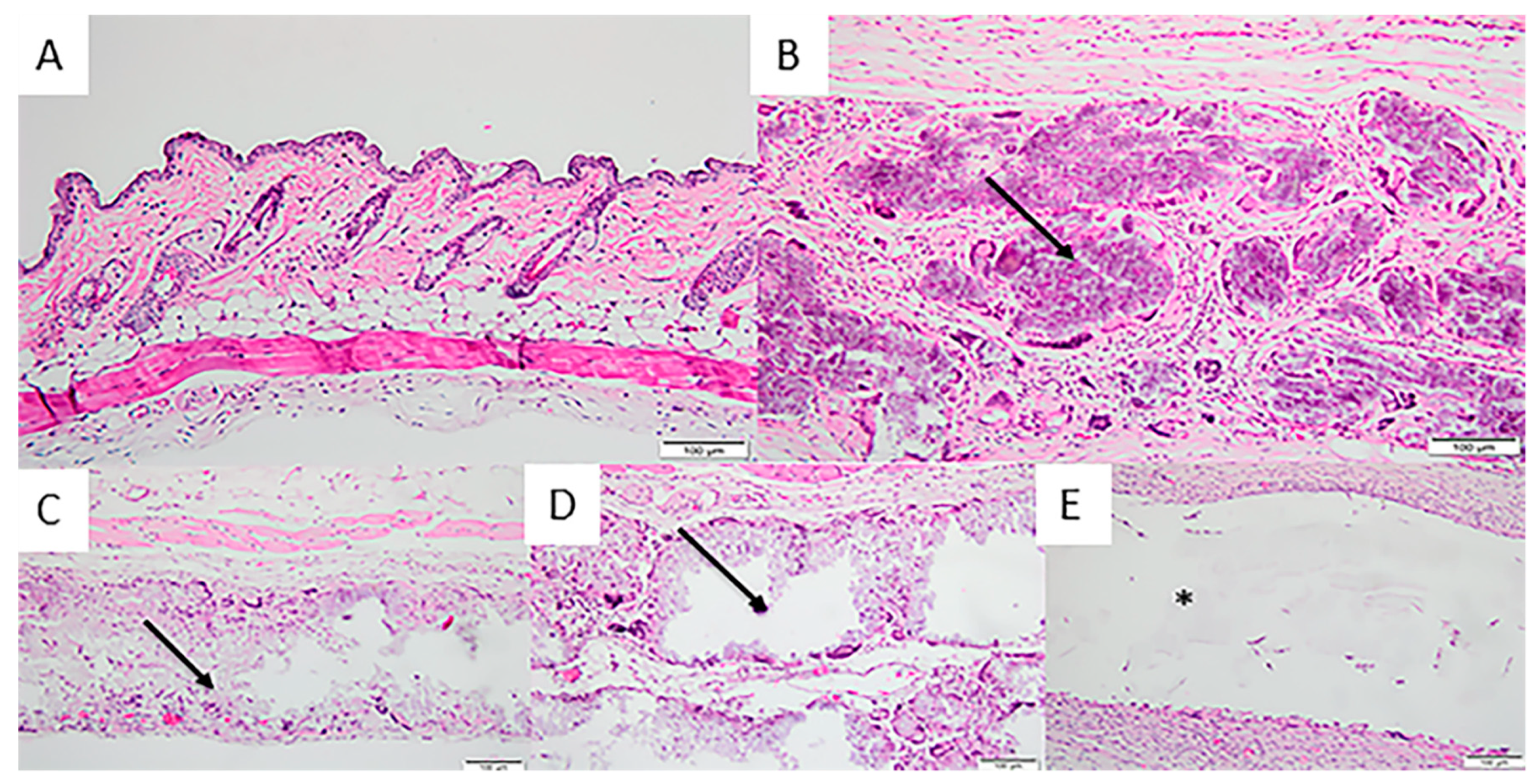 Materials 12 01186 g008