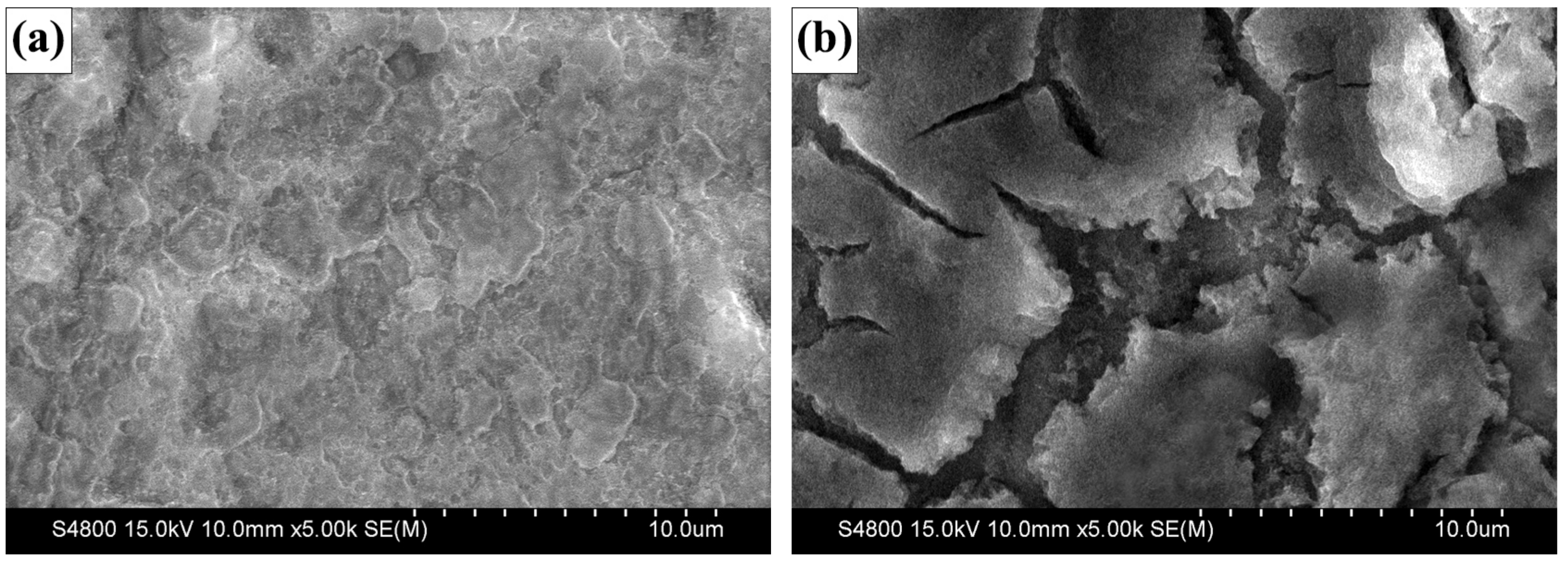 Materials 12 01193 g007 550