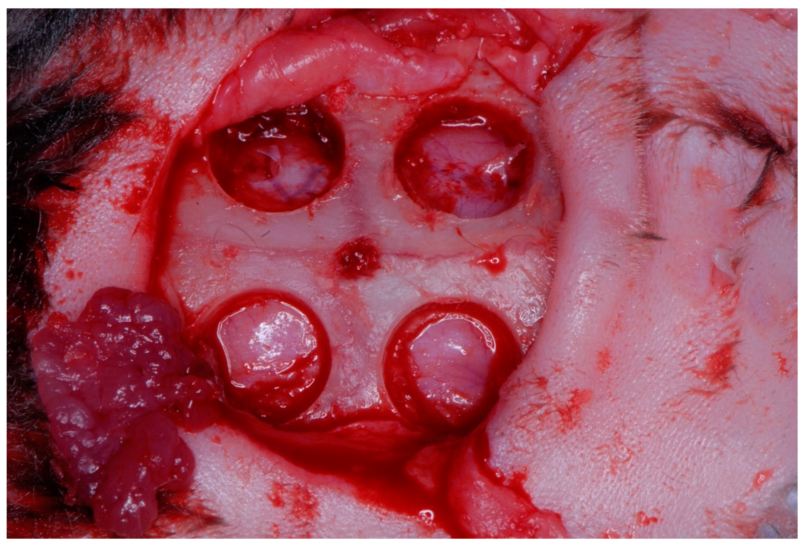 Materials 12 01197 g001