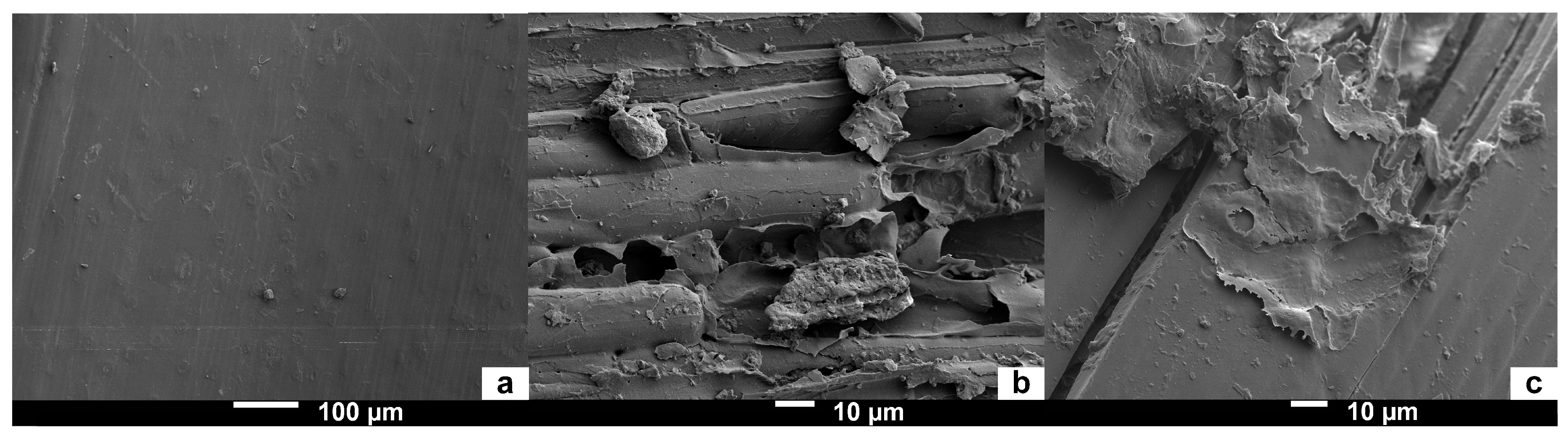 Materials 12 01199 g007 Materials 12 01199 g007