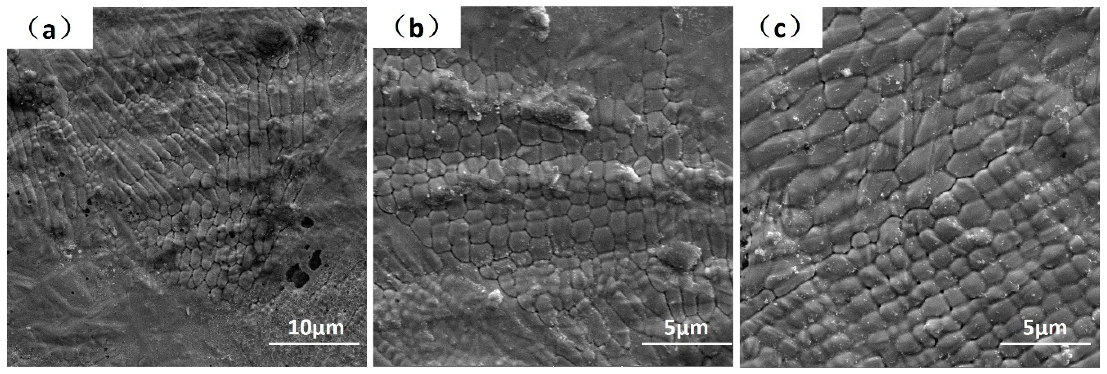 Materials 12 01204 g003 Materials 12 01204 g003