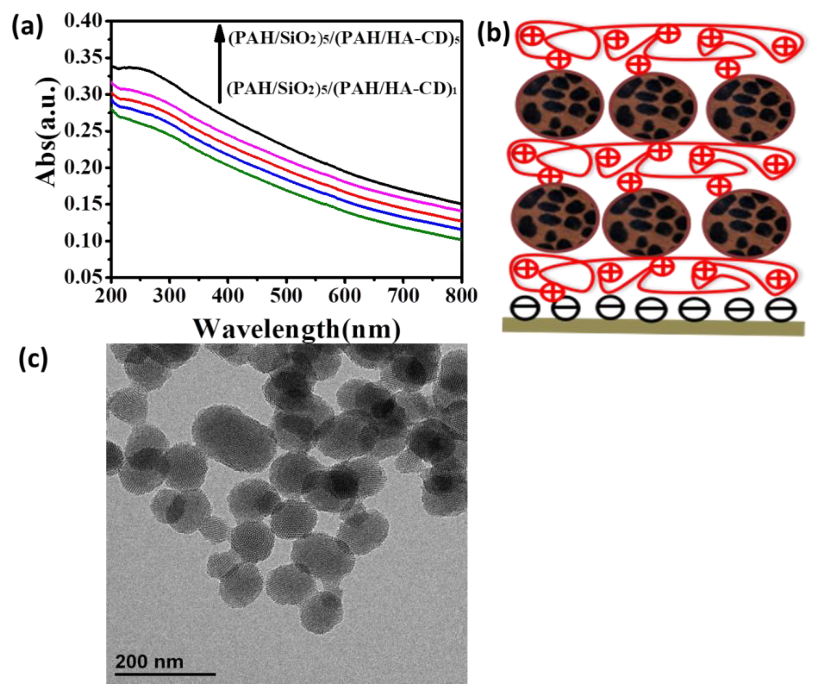 Materials 12 01206 g001
