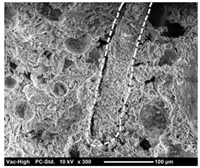 Materials 12 01240 i001 Materials 12 01240 i001