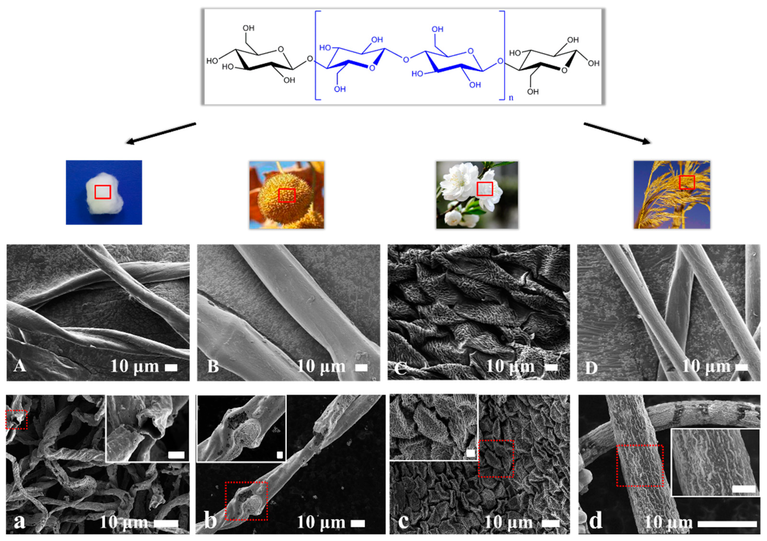 Materials 12 01271 g002 Materials 12 01271 g002