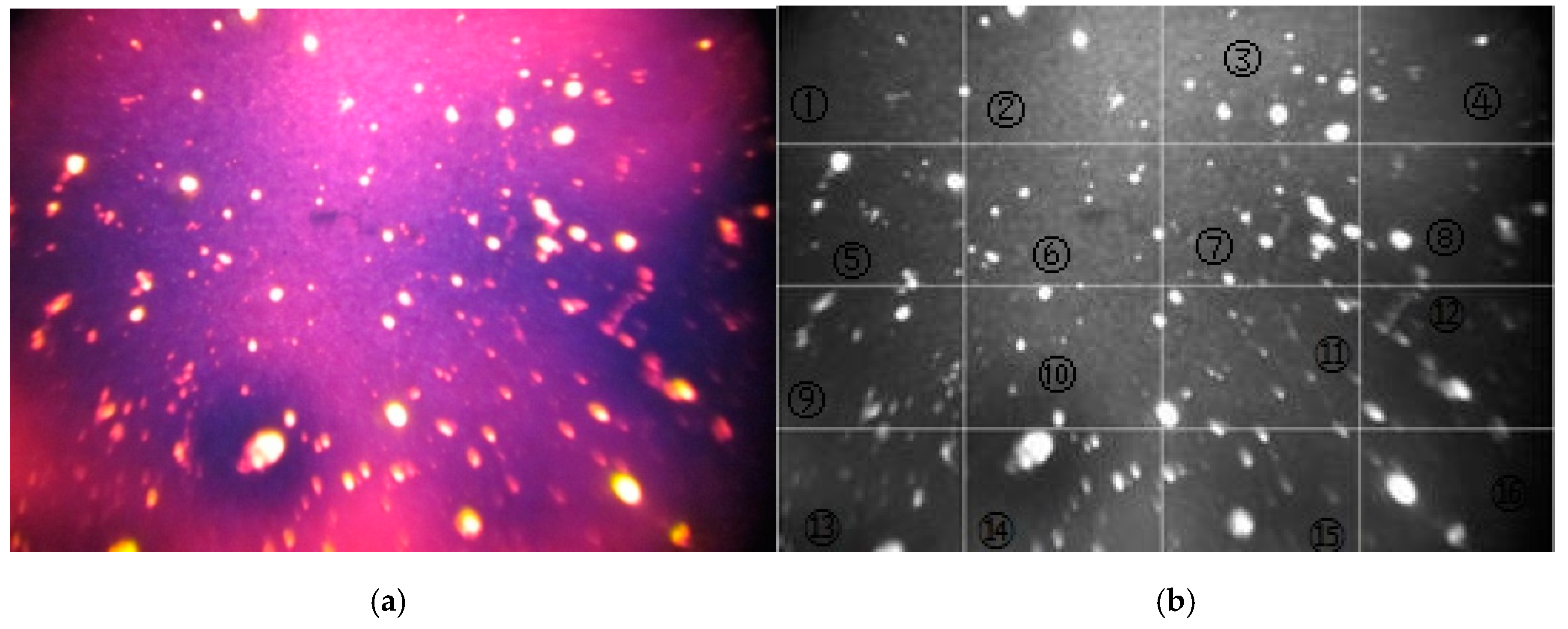 Materials 12 01280 g007 550