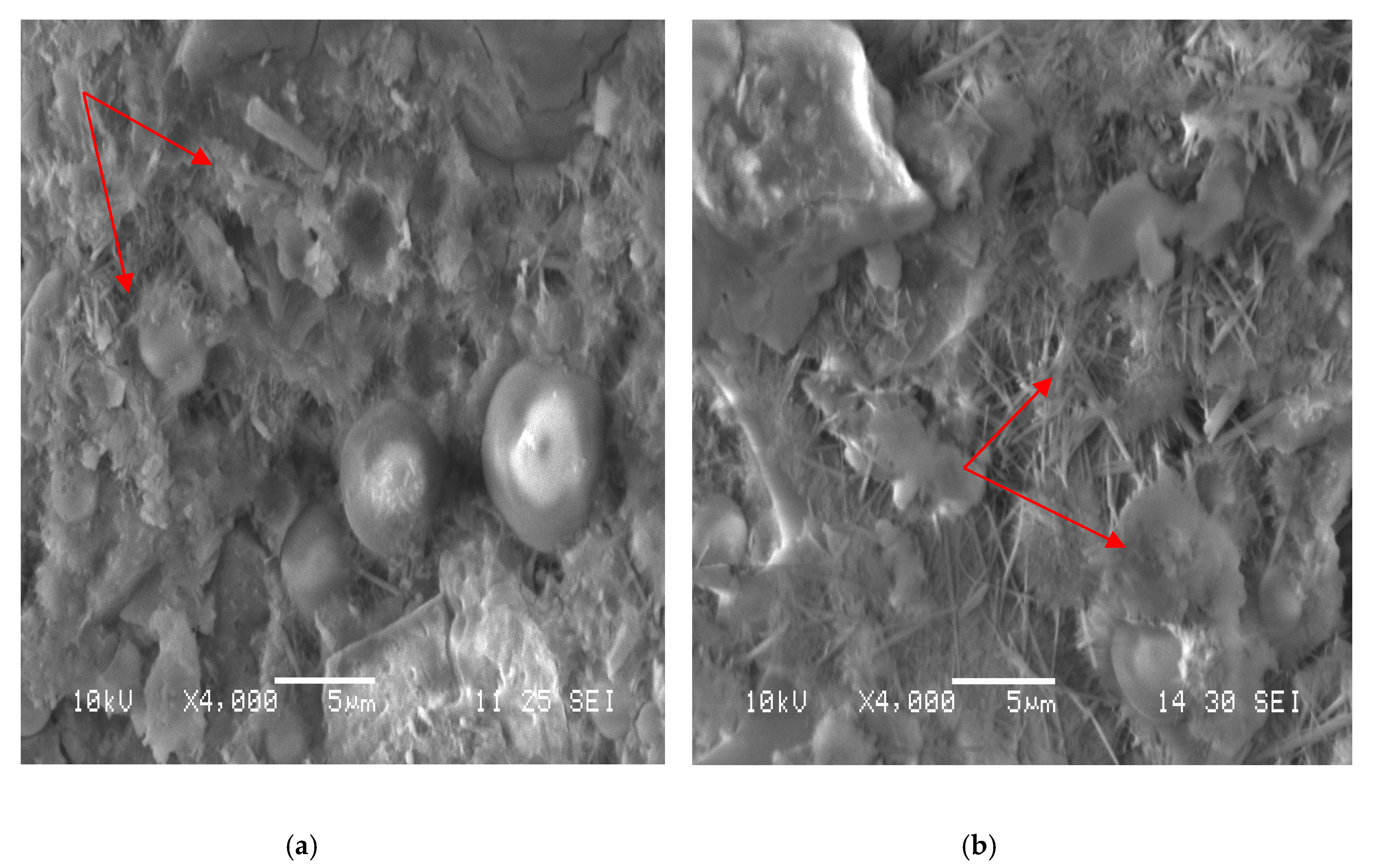 Materials 12 01303 g010