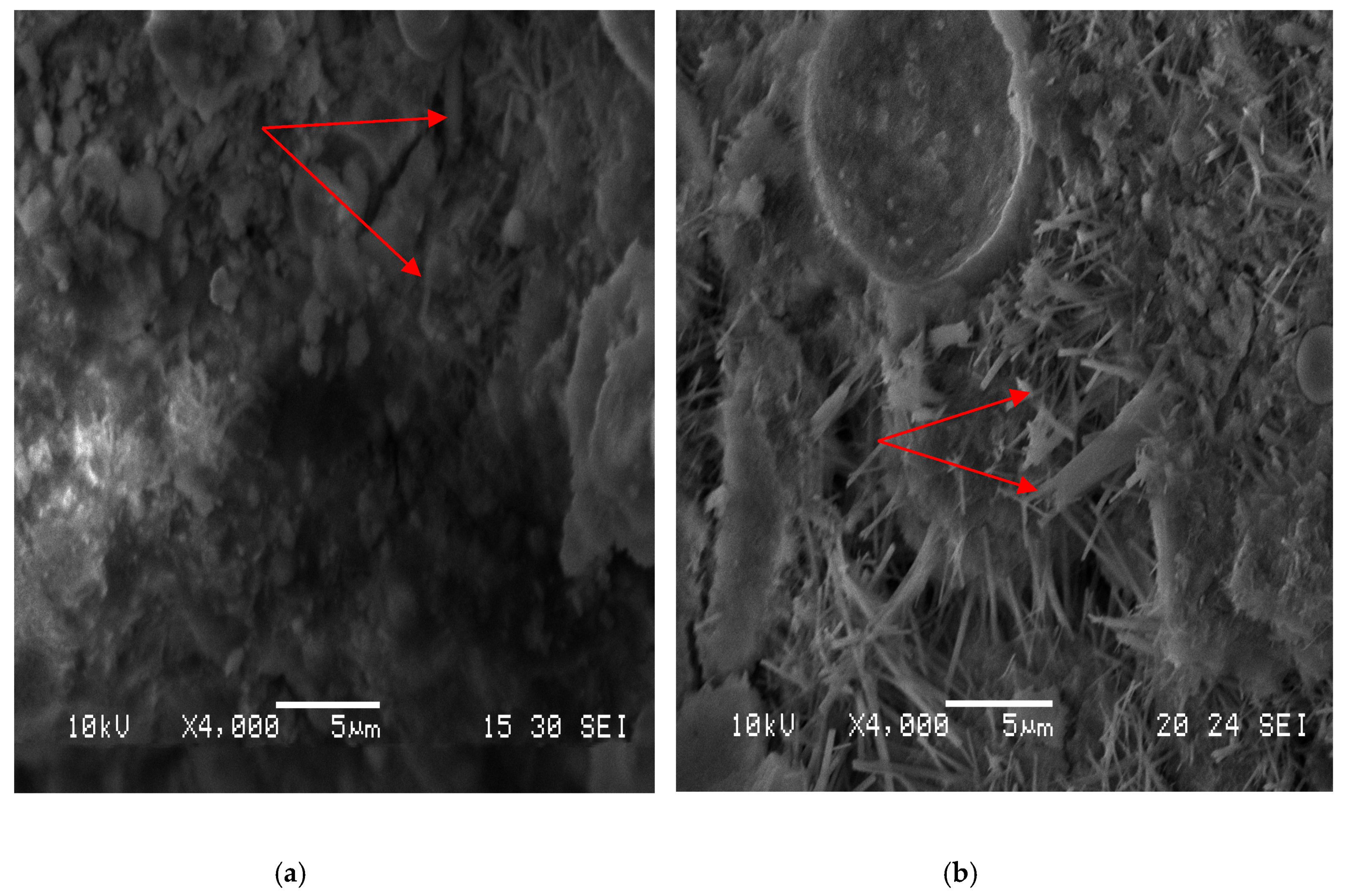 Materials 12 01303 g011