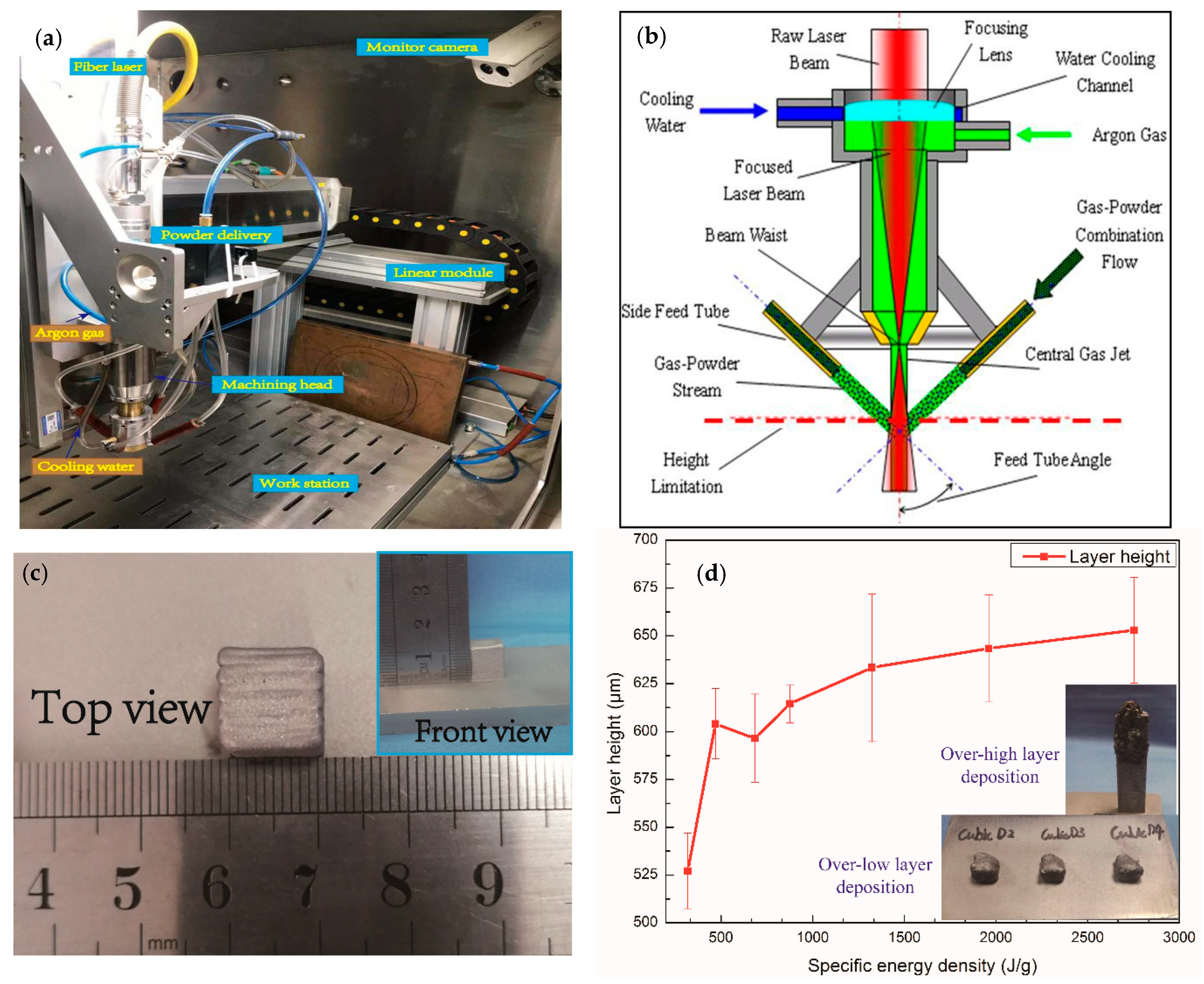 Materials Free Full Text The Effect Of Specific Energy Density On Microstructure And Corrosion Resistance Of Cocrmo Alloy Fabricated By Laser Metal Deposition Html