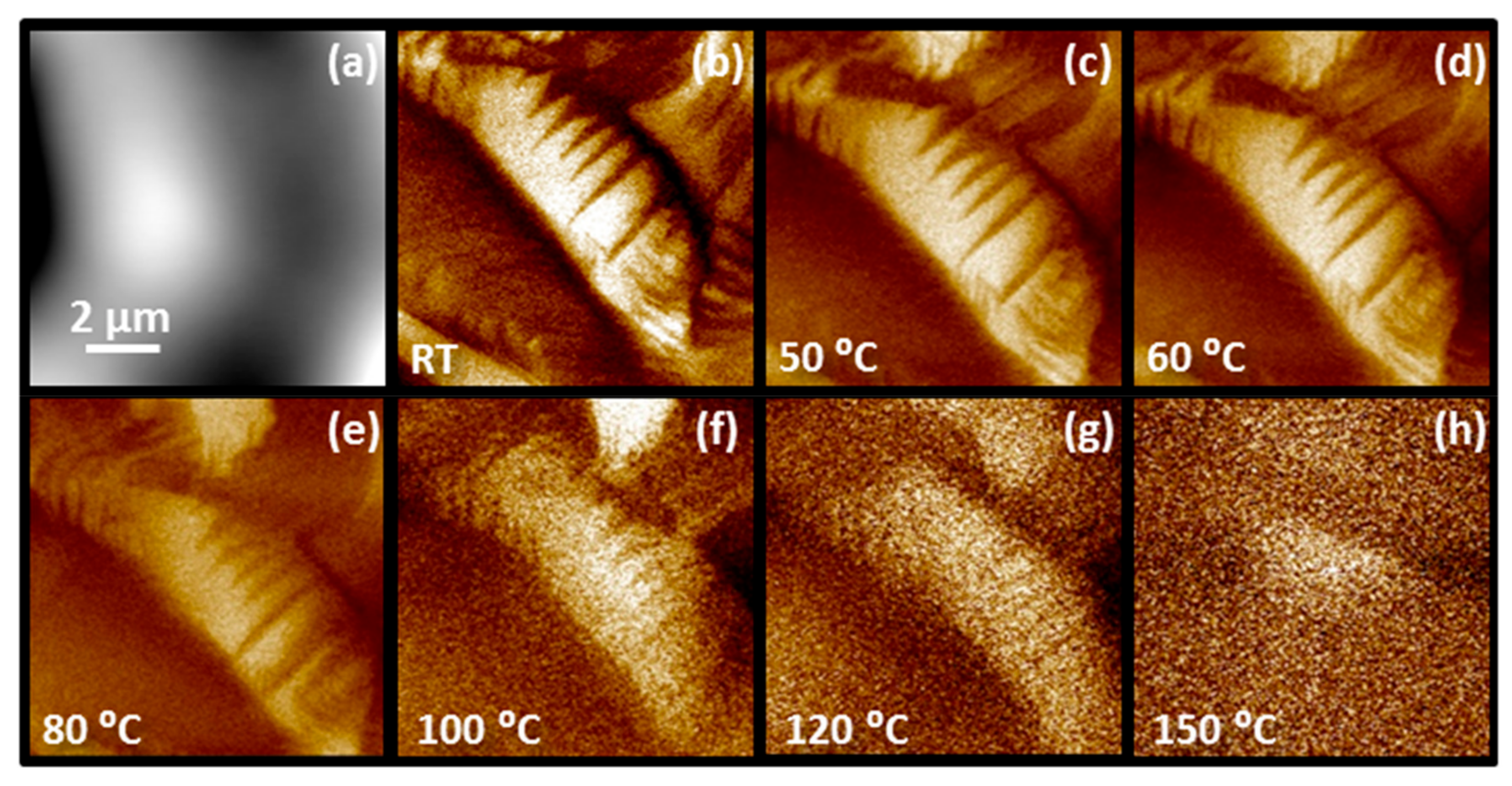 Materials 12 01327 g005