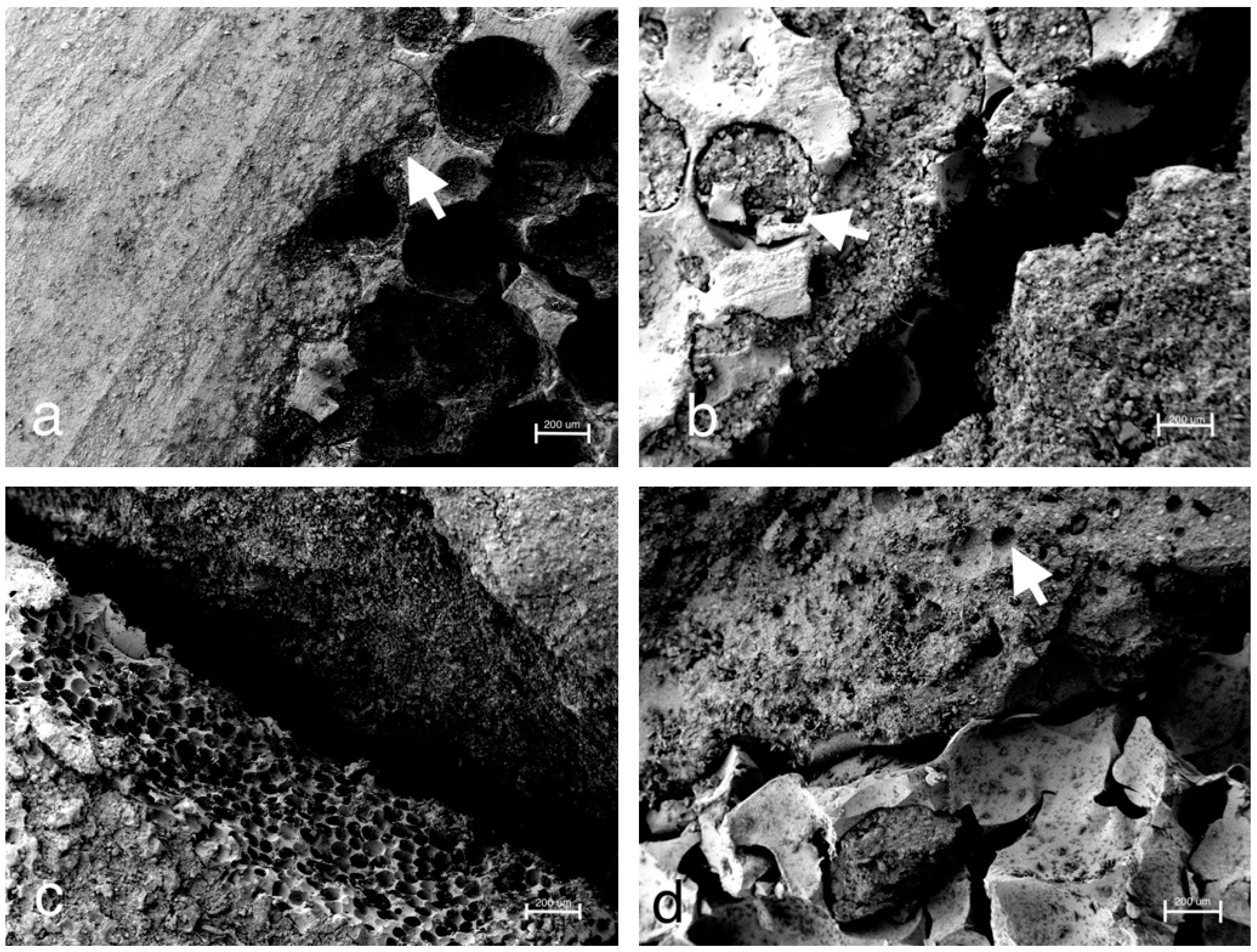 Materials 12 01364 g011