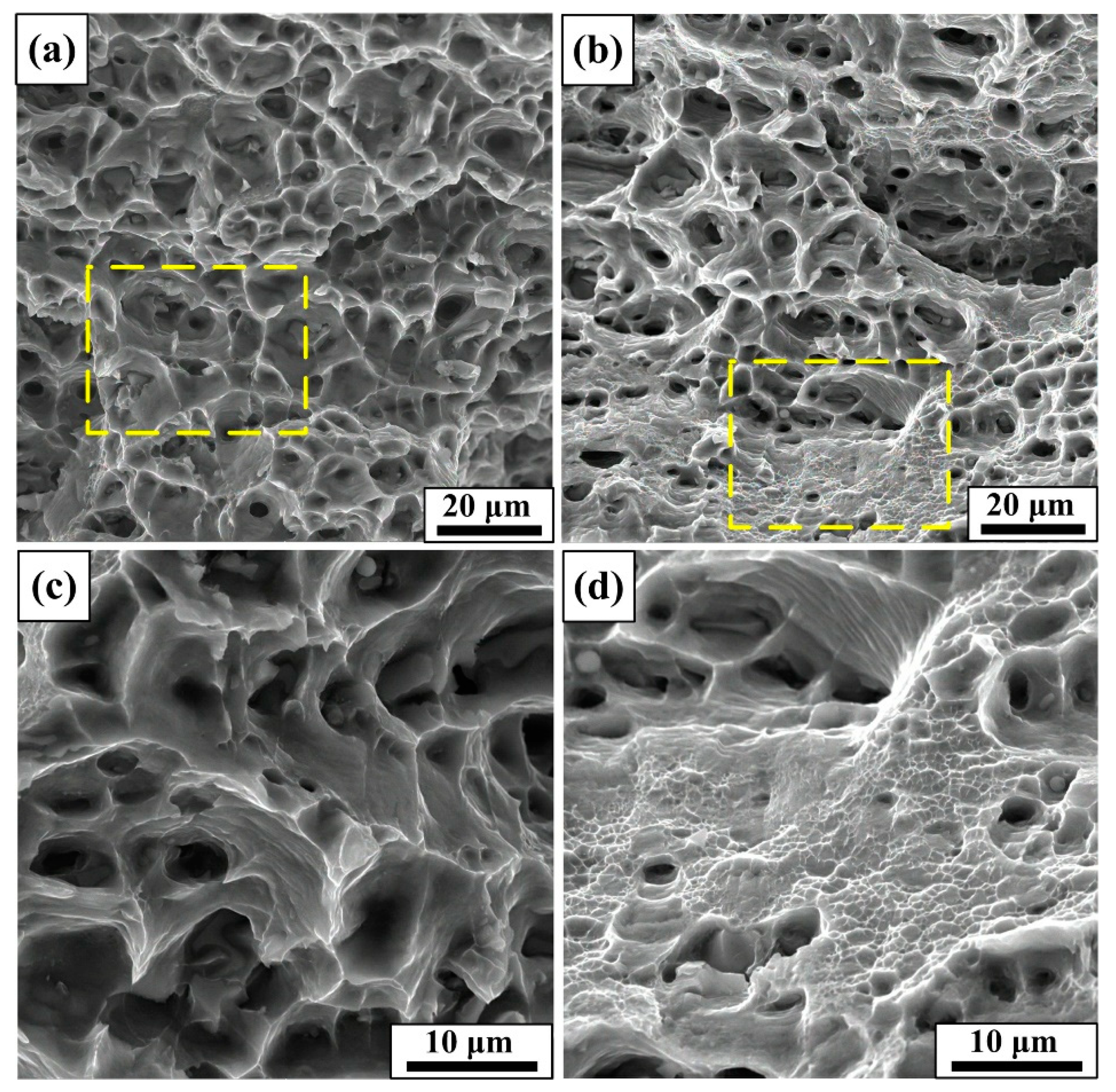 Materials 12 01383 g013