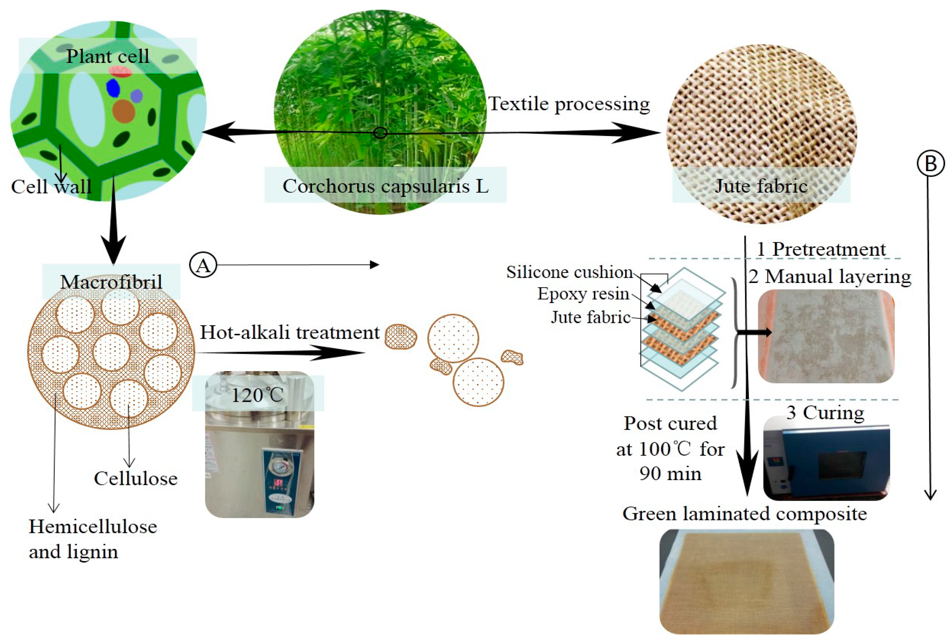 Materials Free FullText Effect of HotAlkali Treatment on the