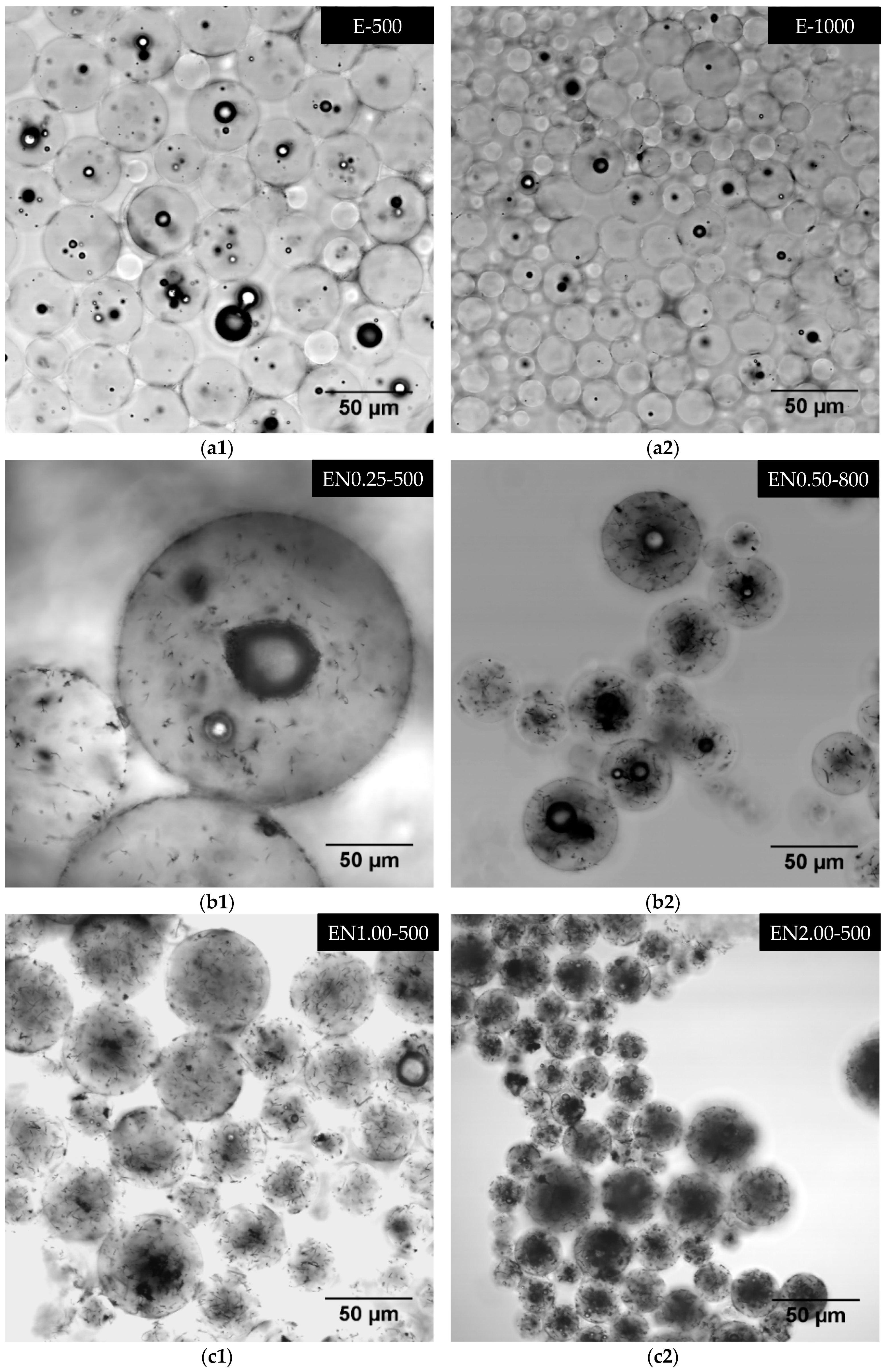 Materials Free FullText ThreeDimensional NanoMorphology of