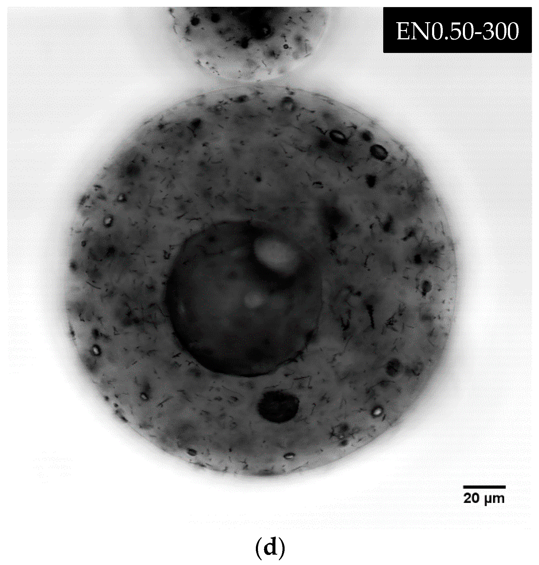Materials 12 01387 g013b Materials 12 01387 g013b