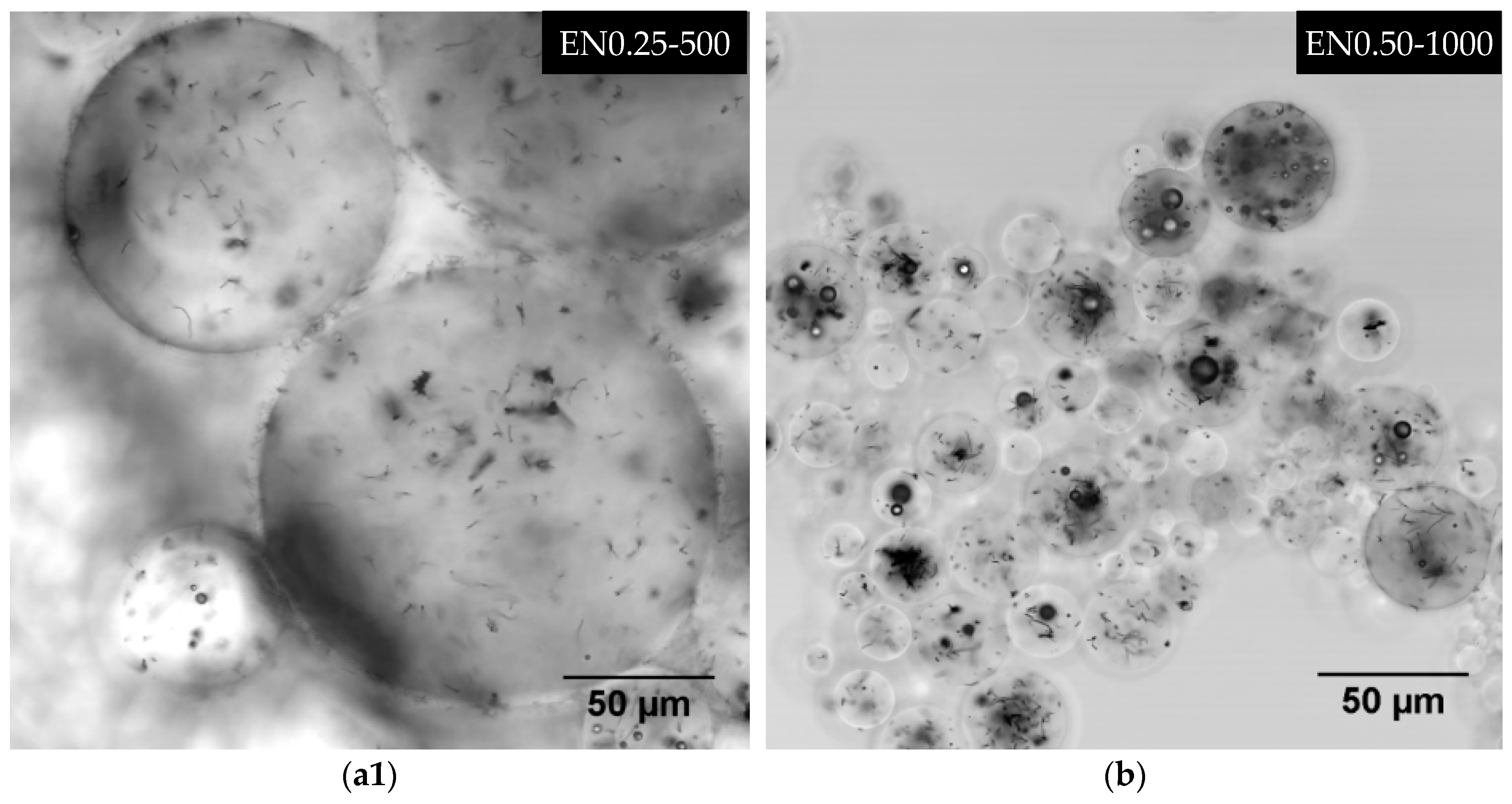 Materials 12 01387 g014a Materials 12 01387 g014a