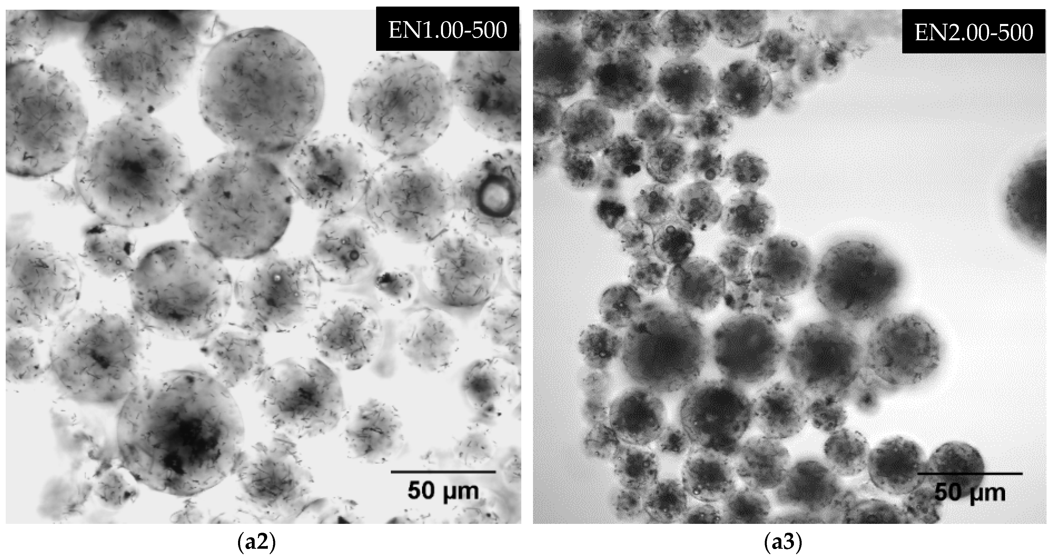 Materials 12 01387 g014b Materials 12 01387 g014b