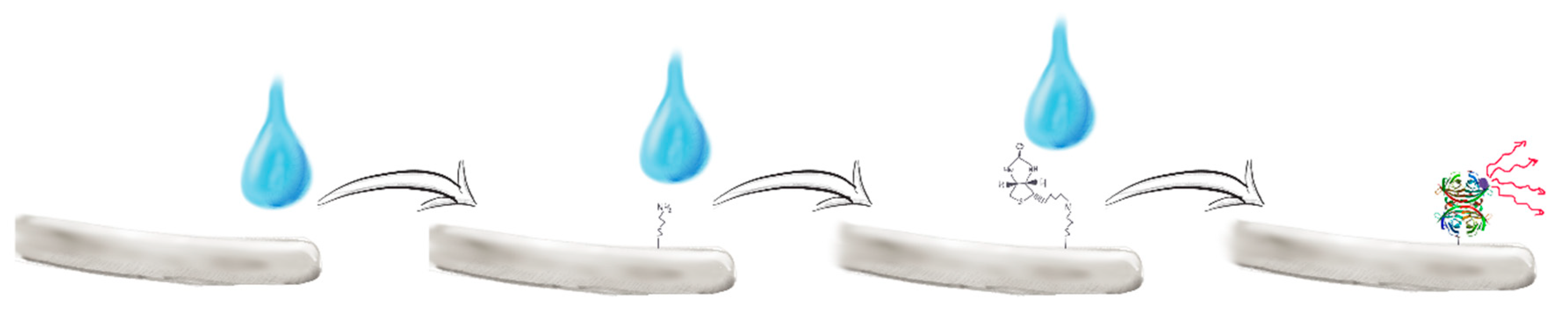 Materials 12 01418 sch002 Materials 12 01418 sch002